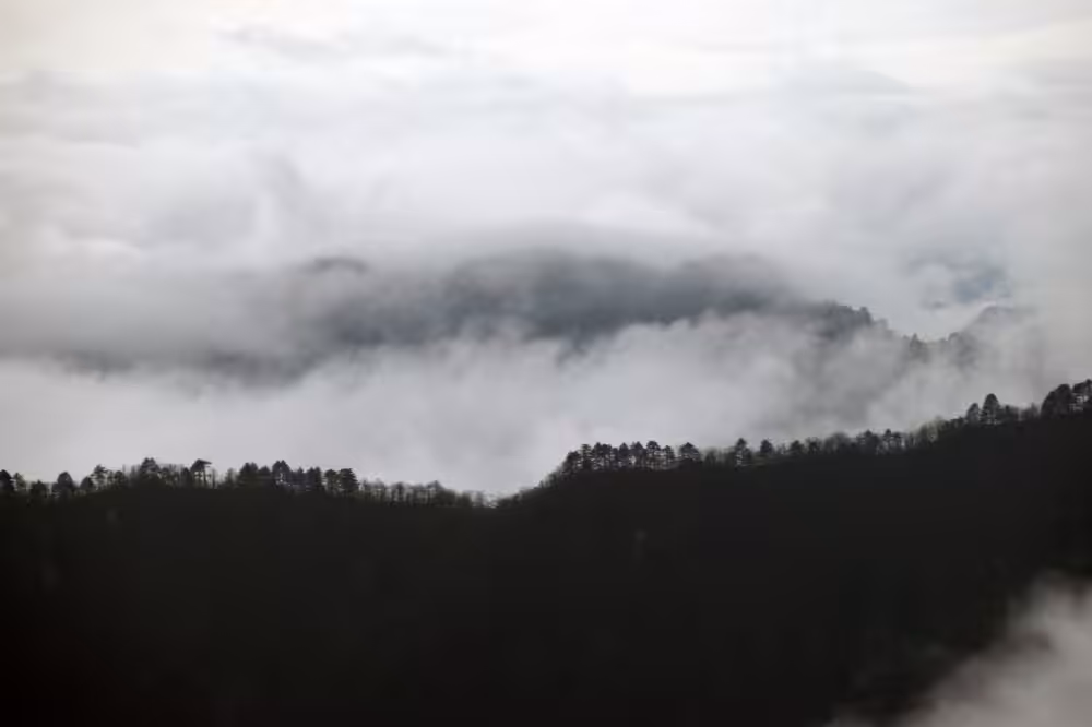 Huang Shan 黄山 06