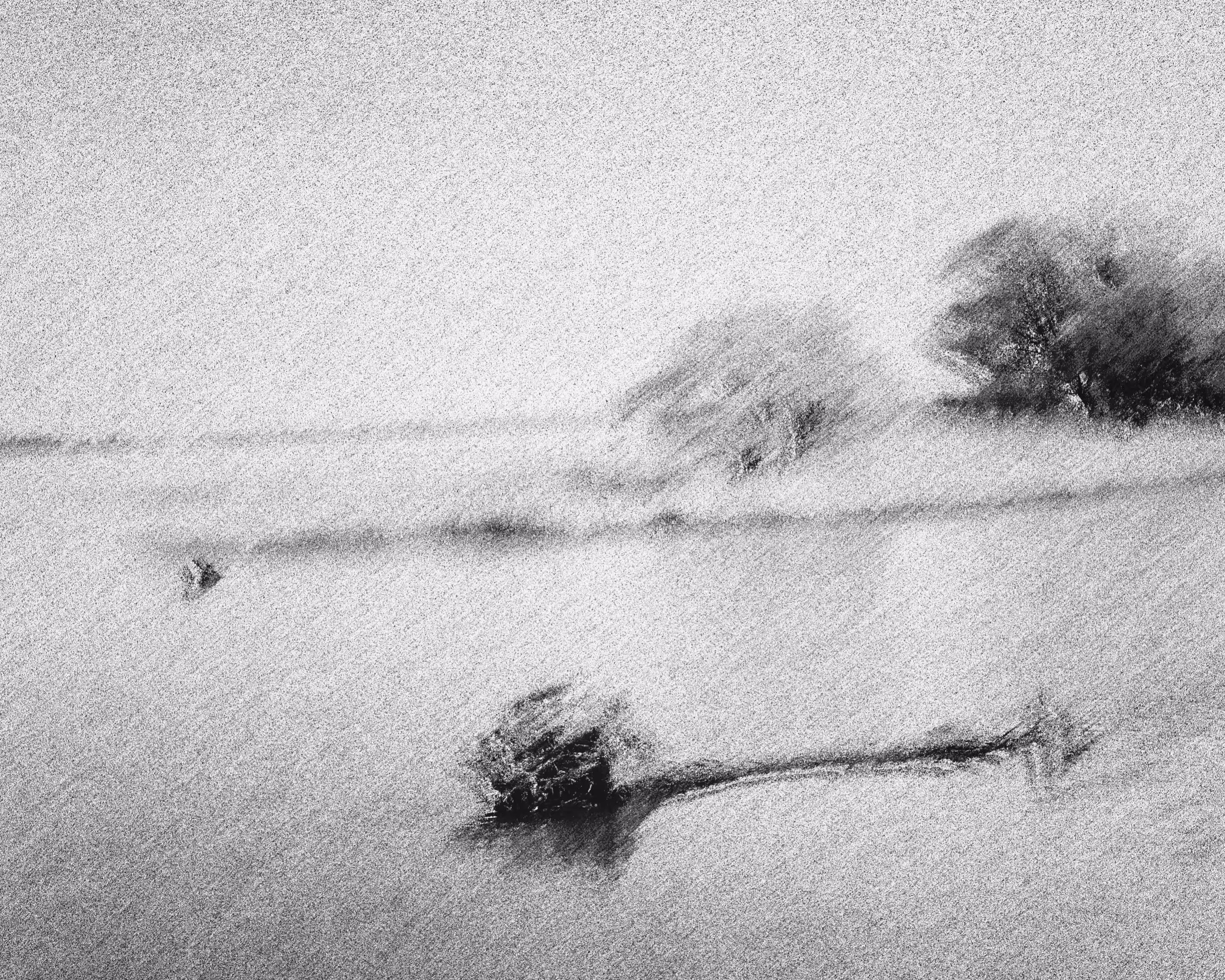 Charcoal Island