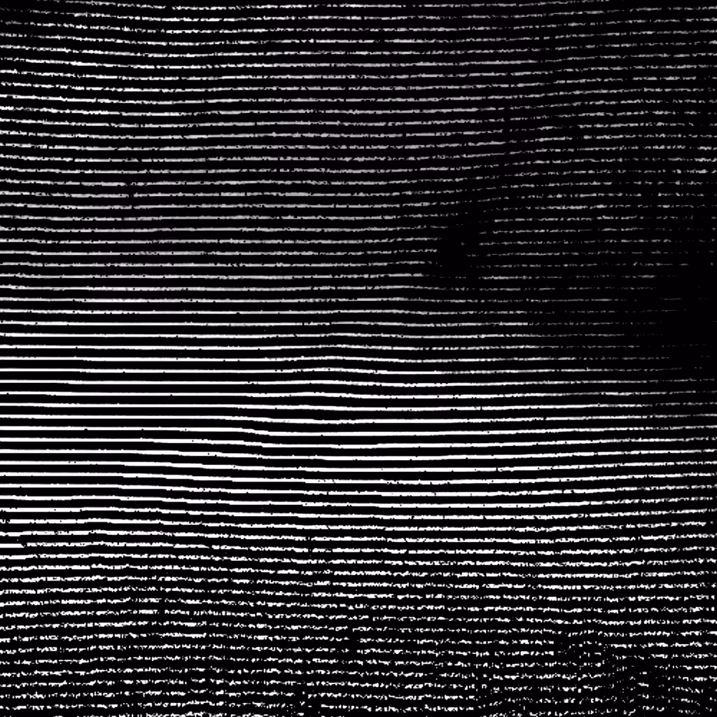 HIDDEN IN NOISE: Noise #29 