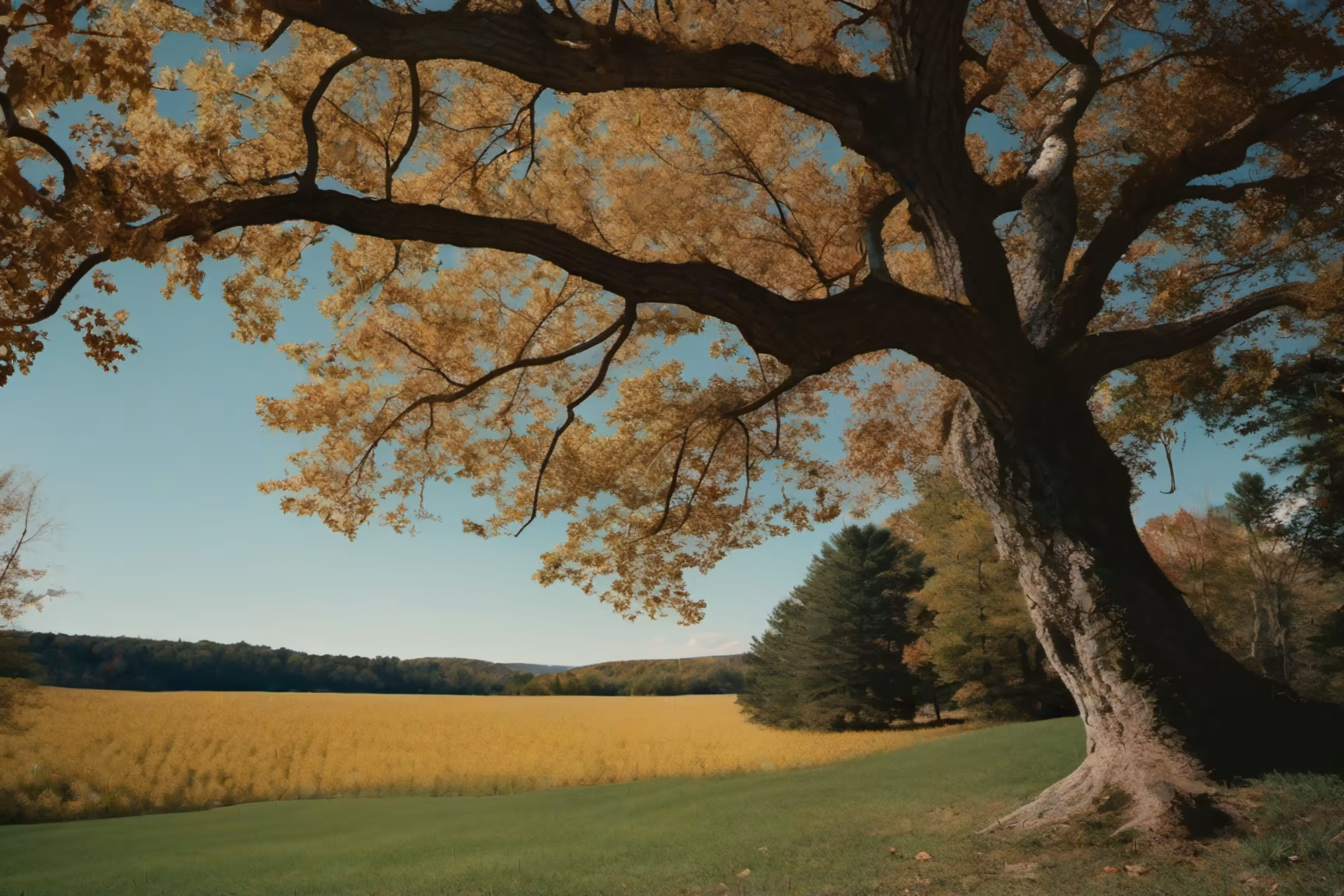 Lonely Landscapes #39