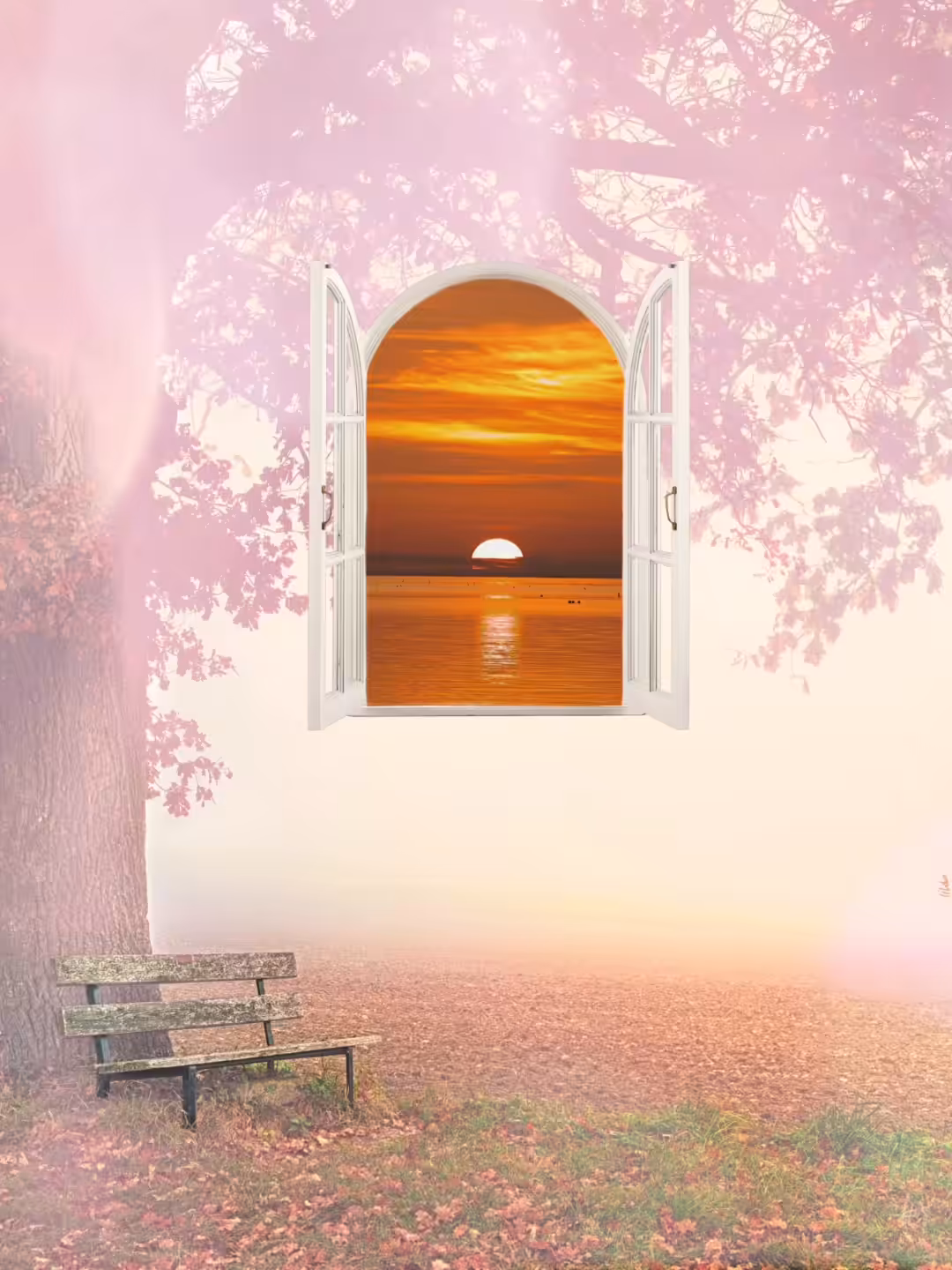Magical Window 5
