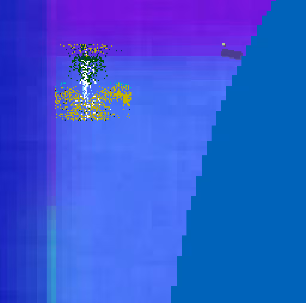 Whales