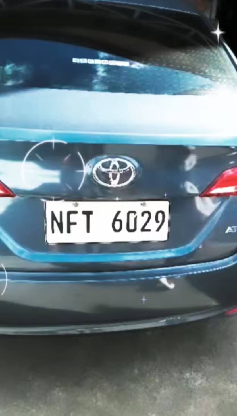 NFT 6029