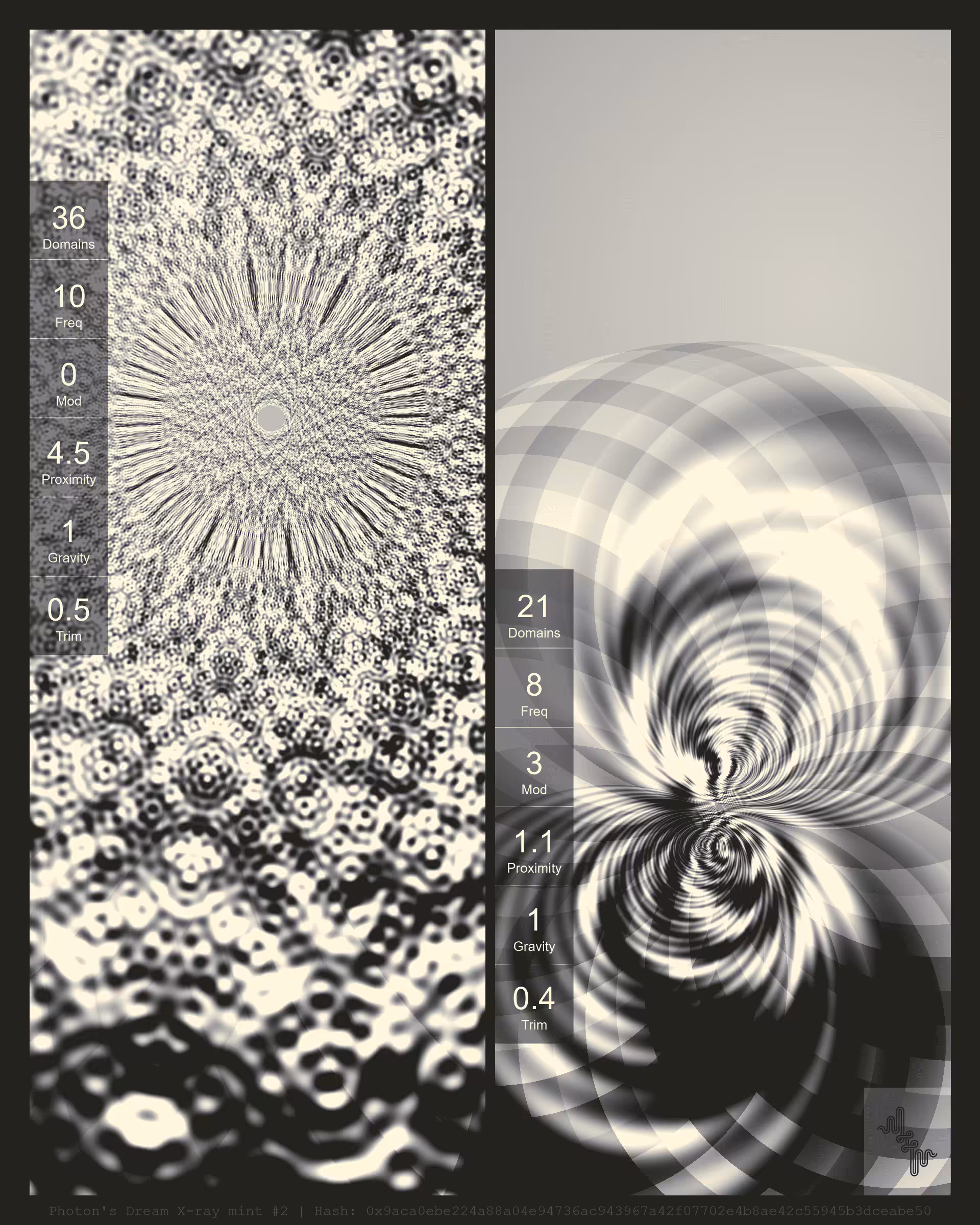 Photon's Dream X-ray mint#2