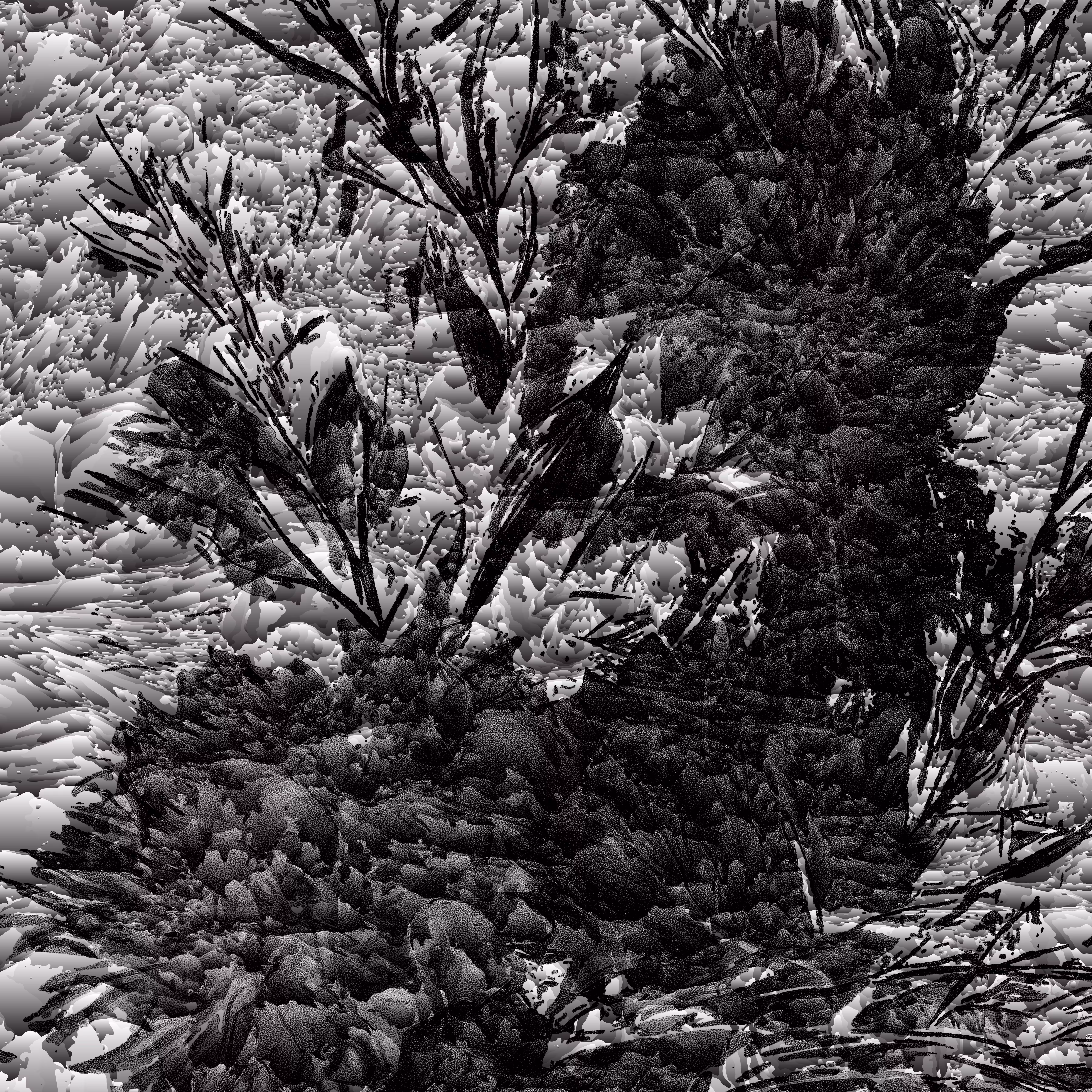 The Shadows: shadow #25
