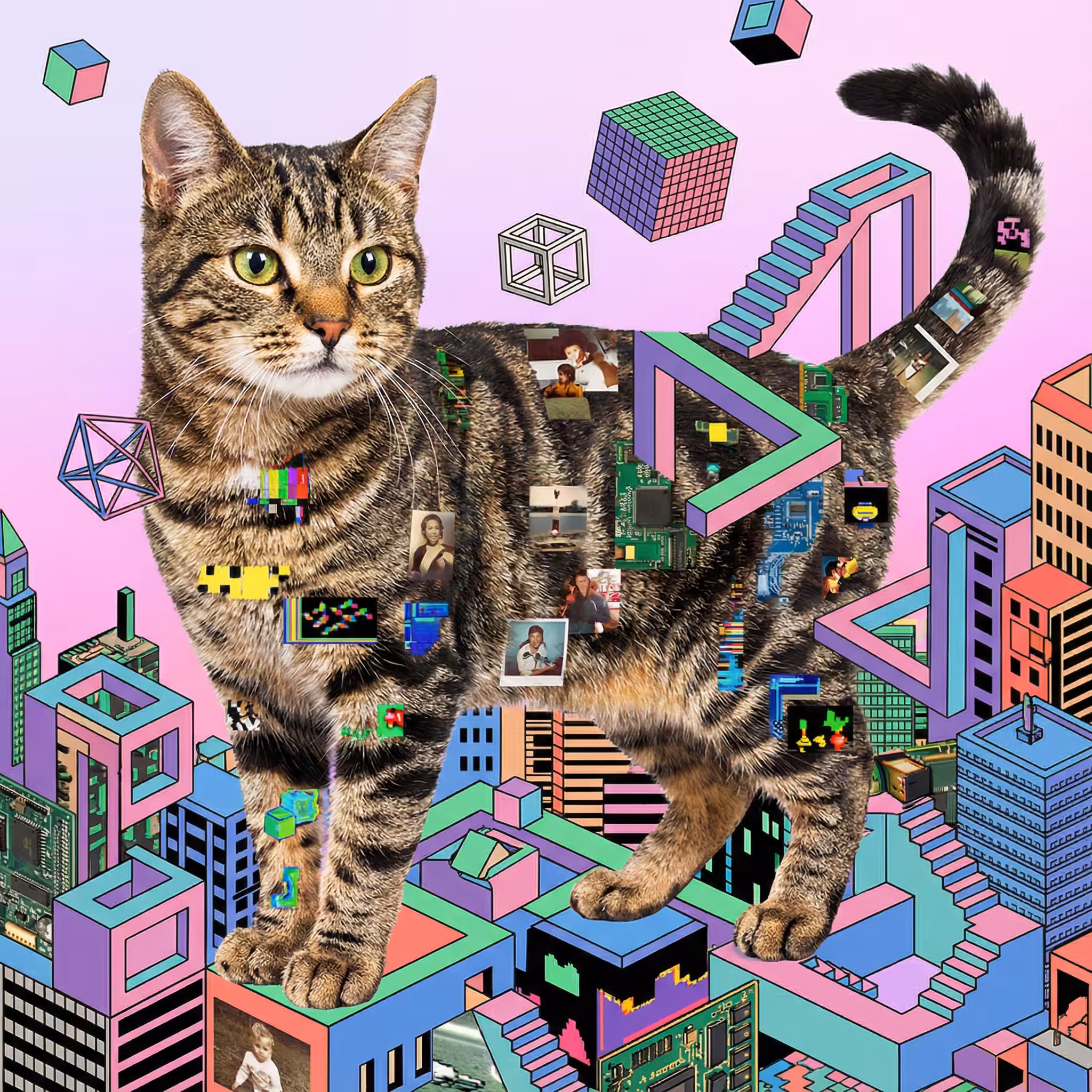 abstract cats #31