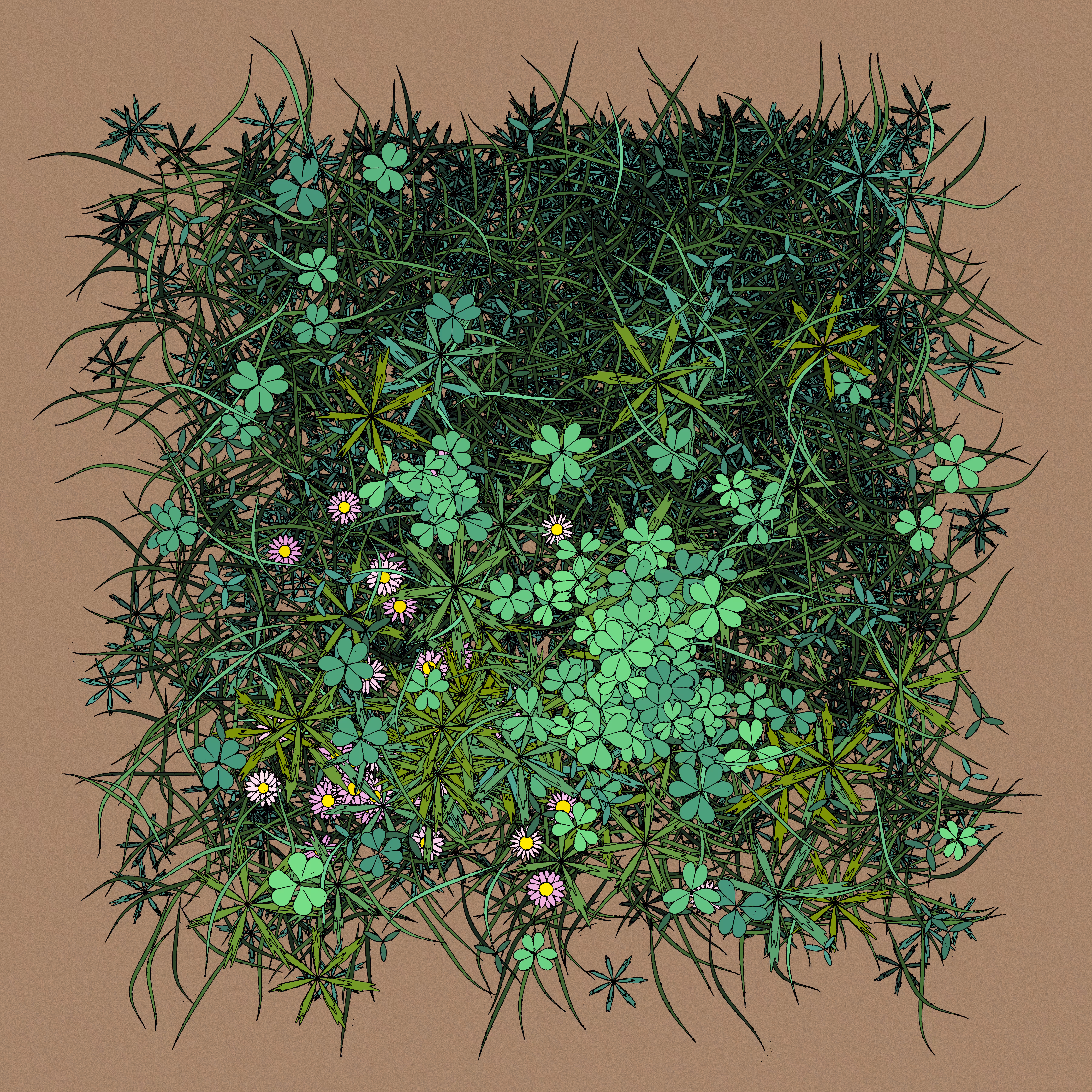 Pink Daisies #3