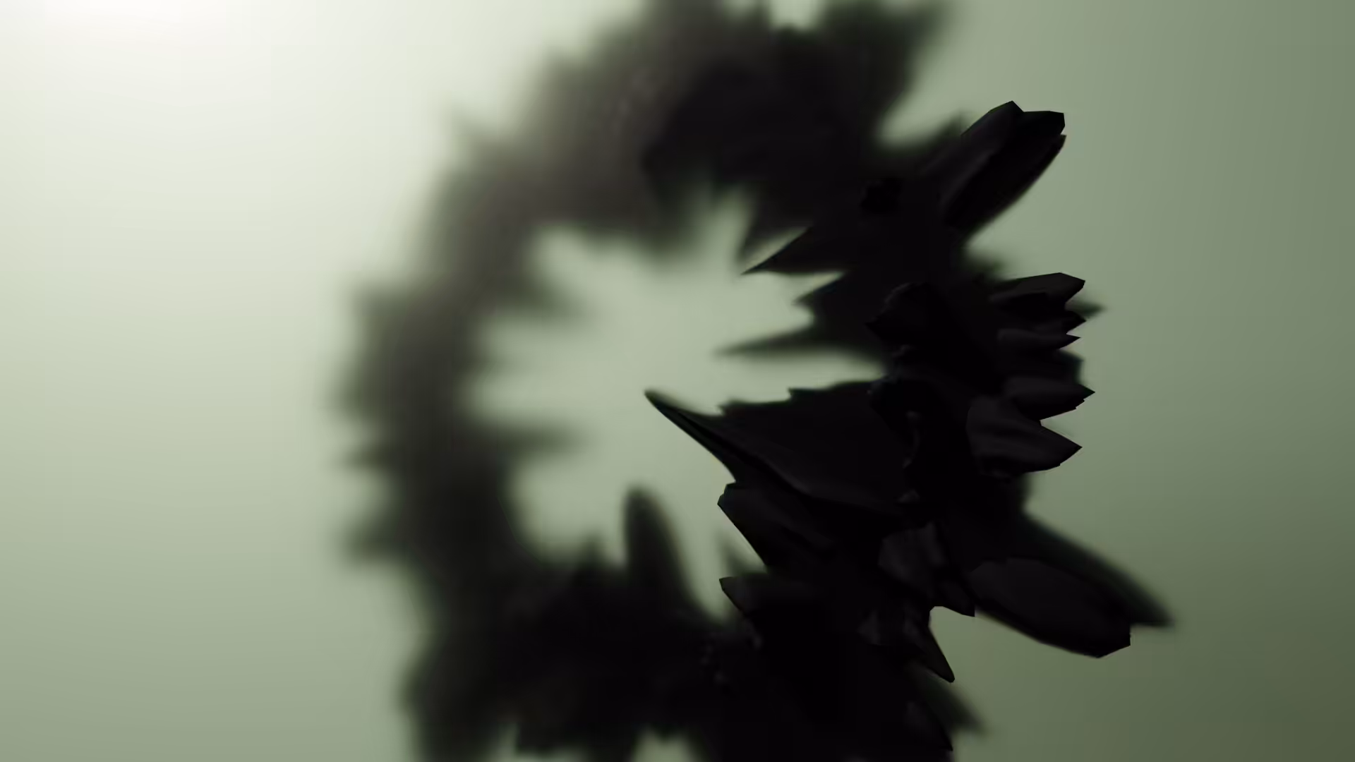 _  the relativity of perception