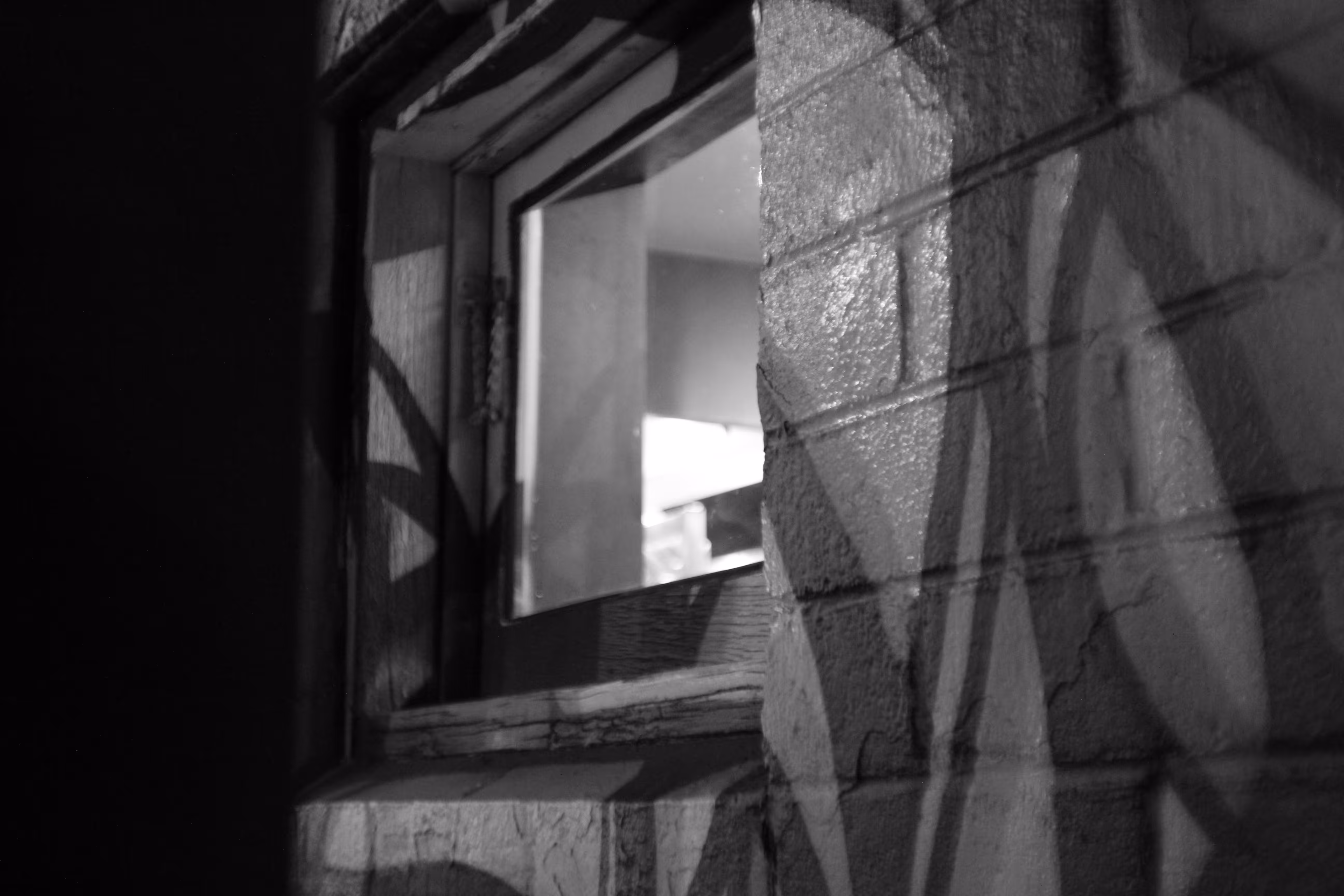 dust&chrome series 1: where_windows_grow