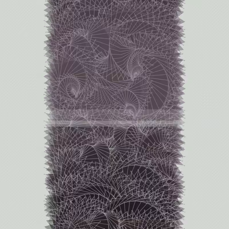 Braids/burdens #18