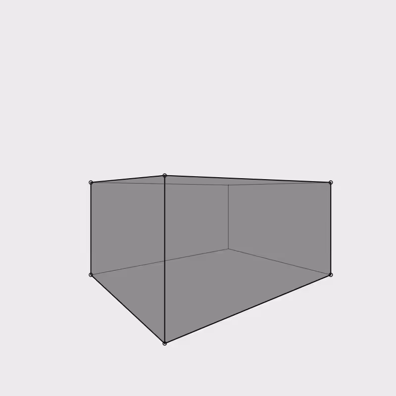 Perspective 1.0 #44