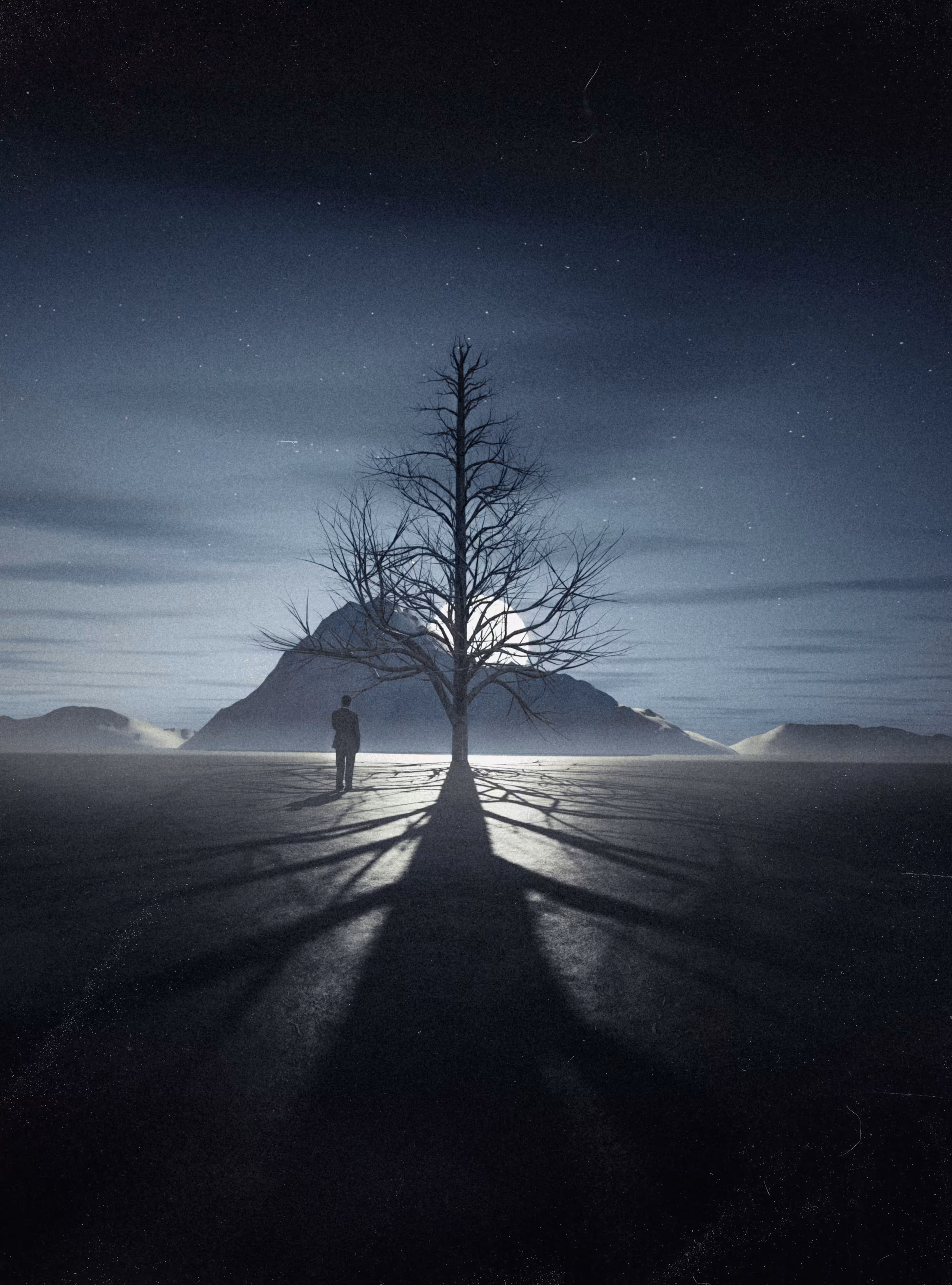 Tree #14