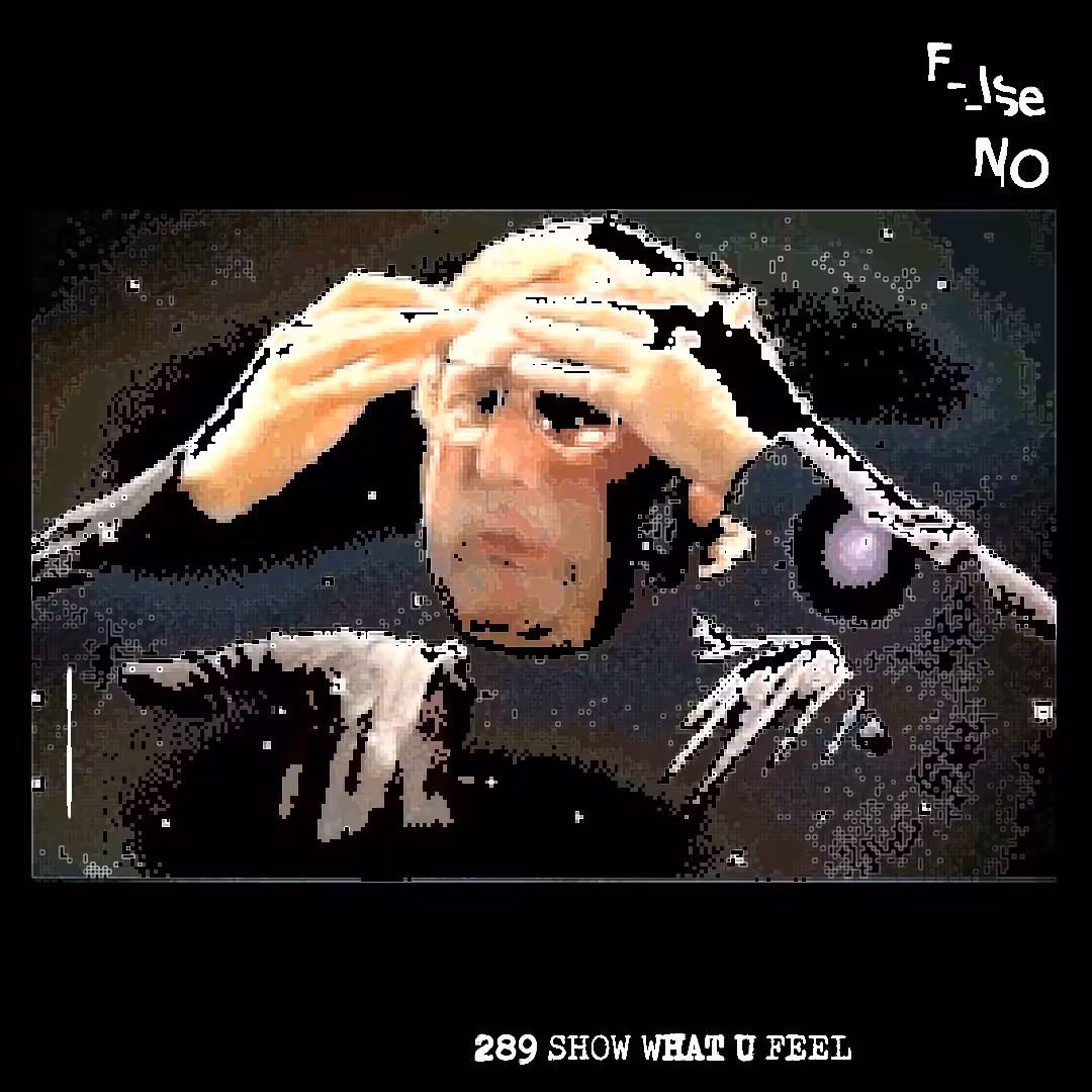 289 SHOW WHAT U FEEL