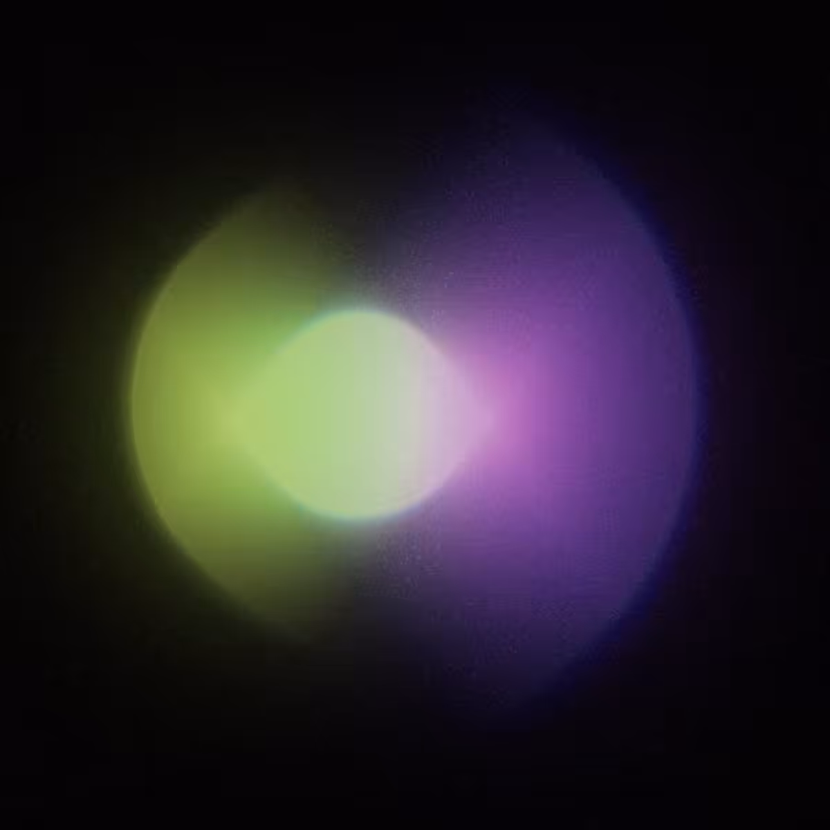 Hypostatic Union