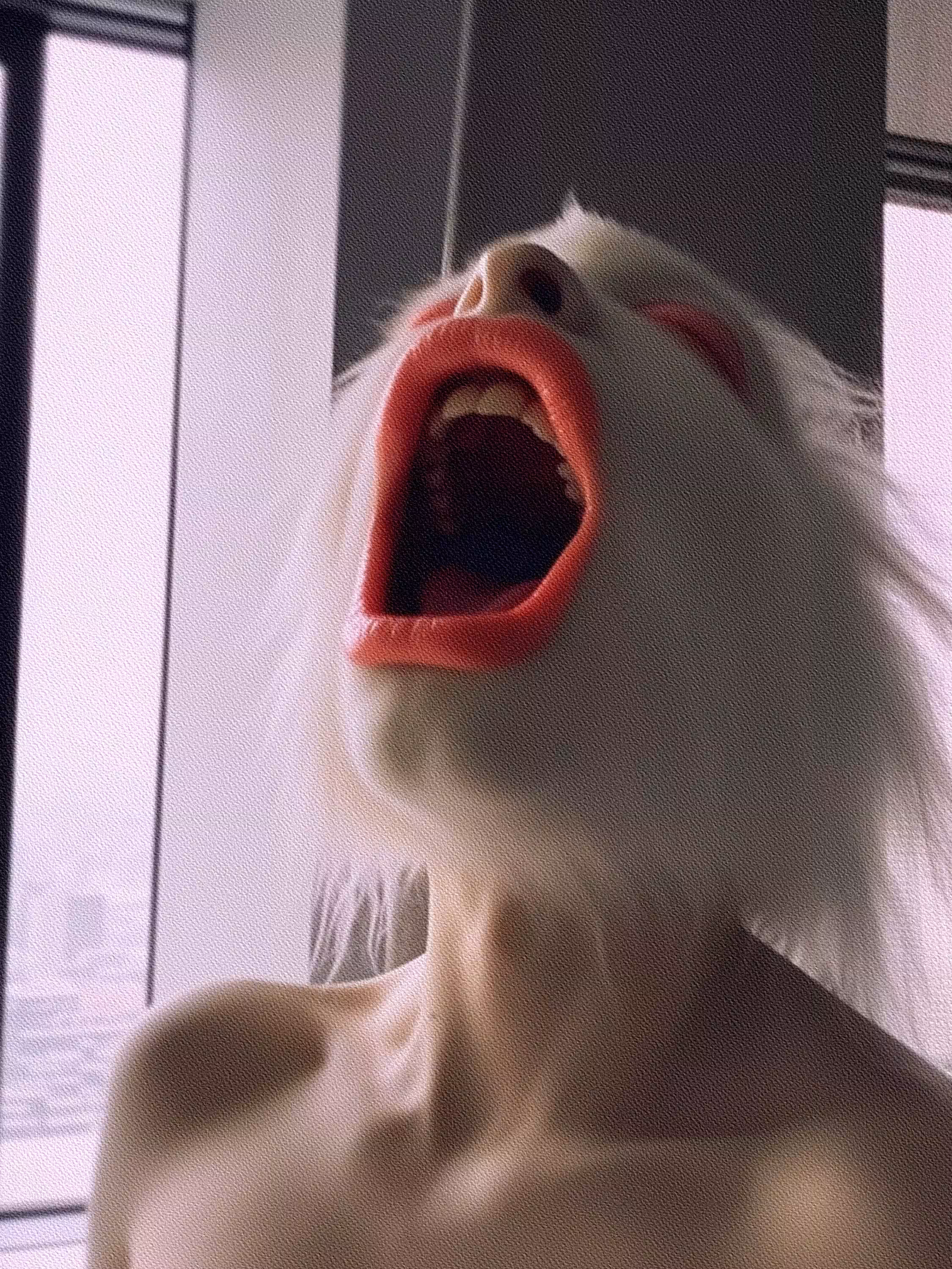 Olga Fedorova - Untitled #69