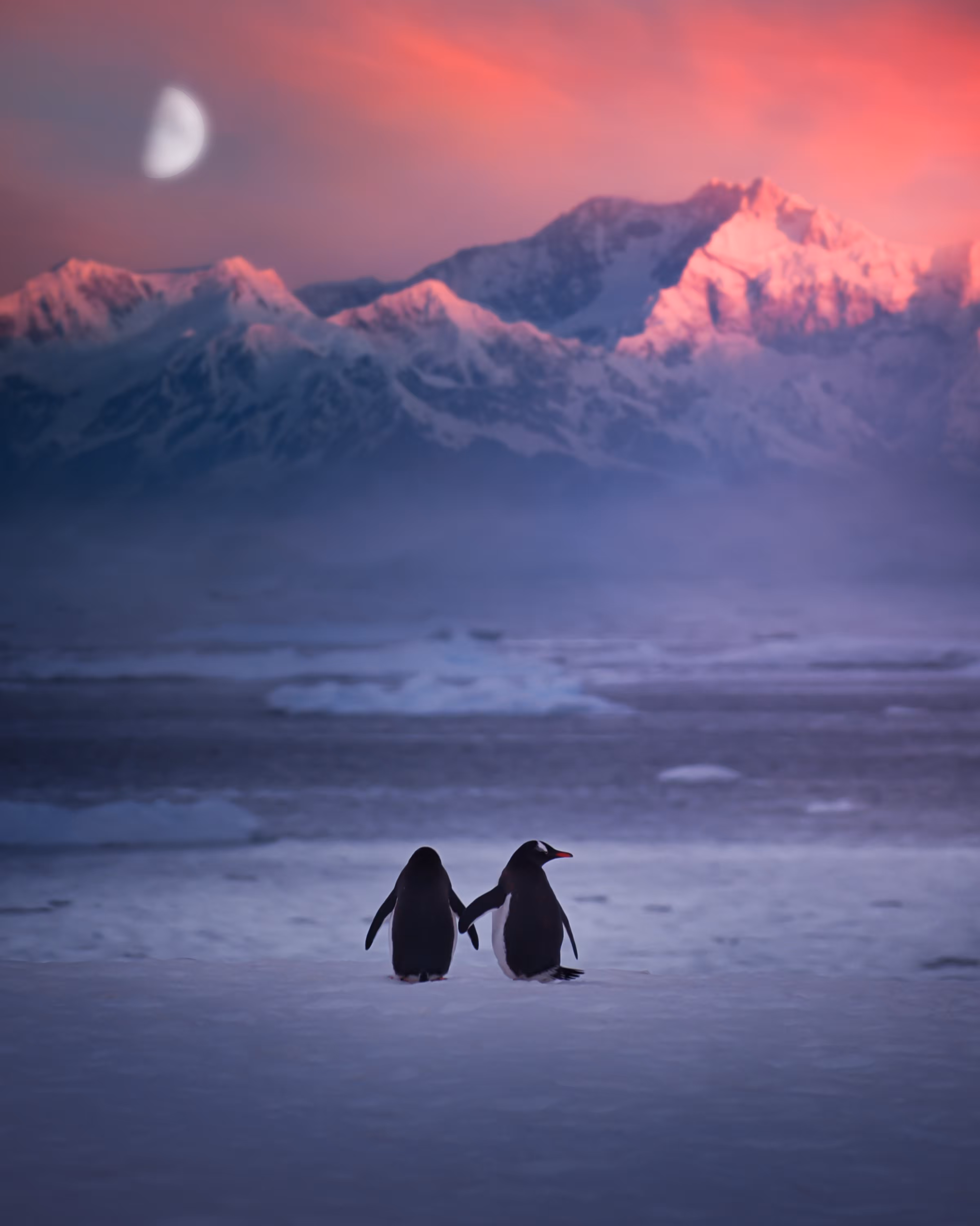 Phases Of The Moon Volume 2: Day 9: Date Night