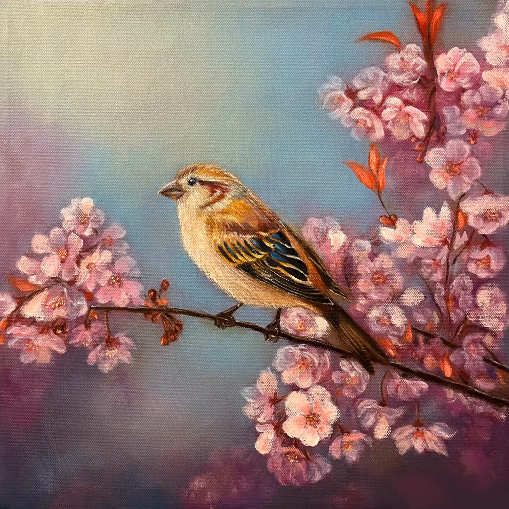 Spring Guest