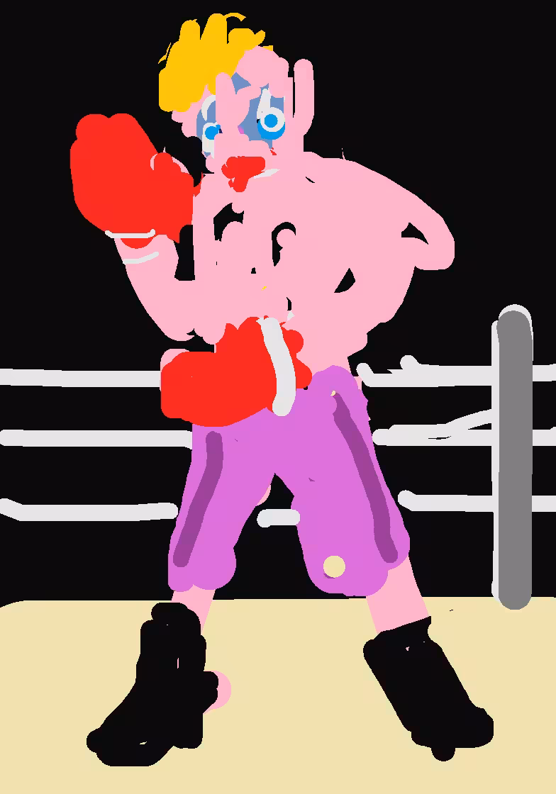 The Boxer