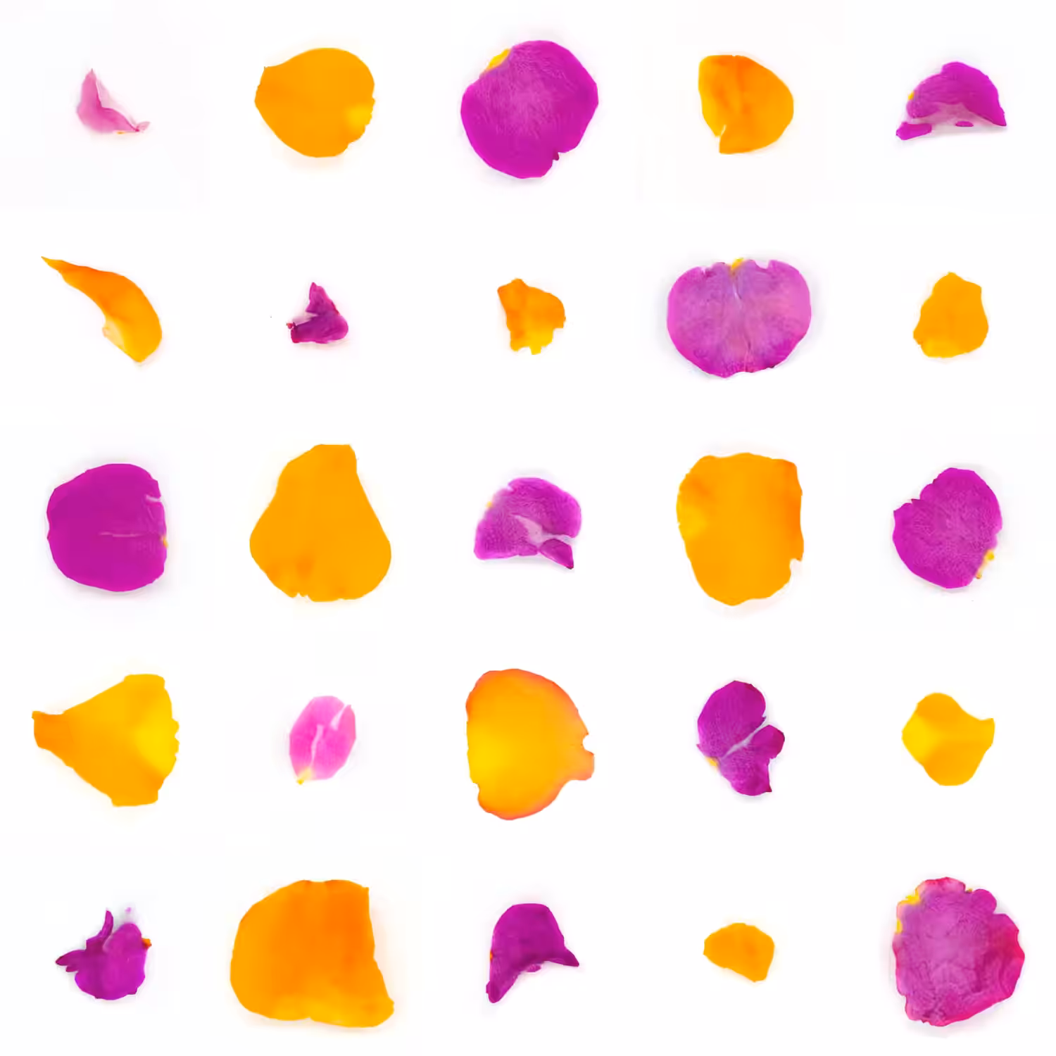Infinite Petals 5x5#2440