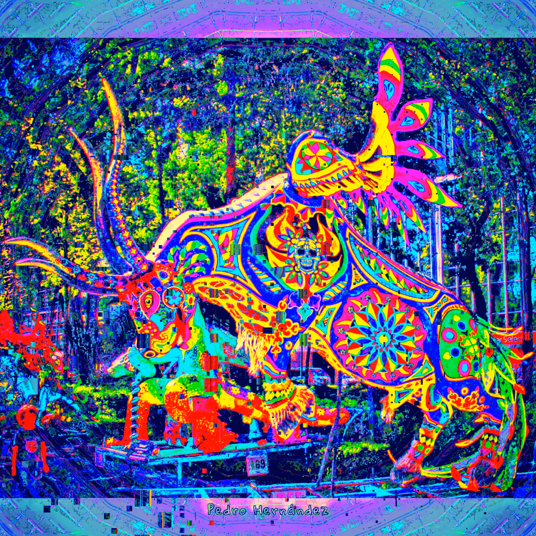 Bull Angel