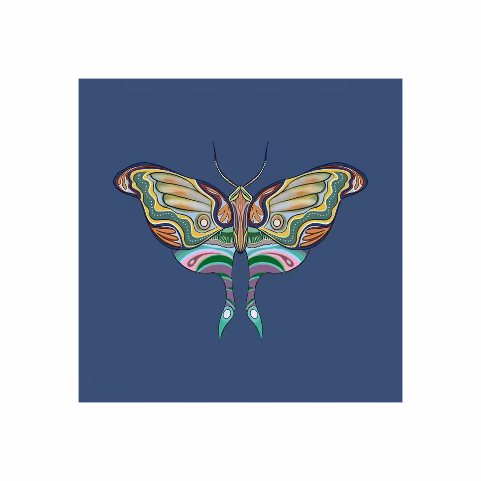 The Moth Experiment  #41