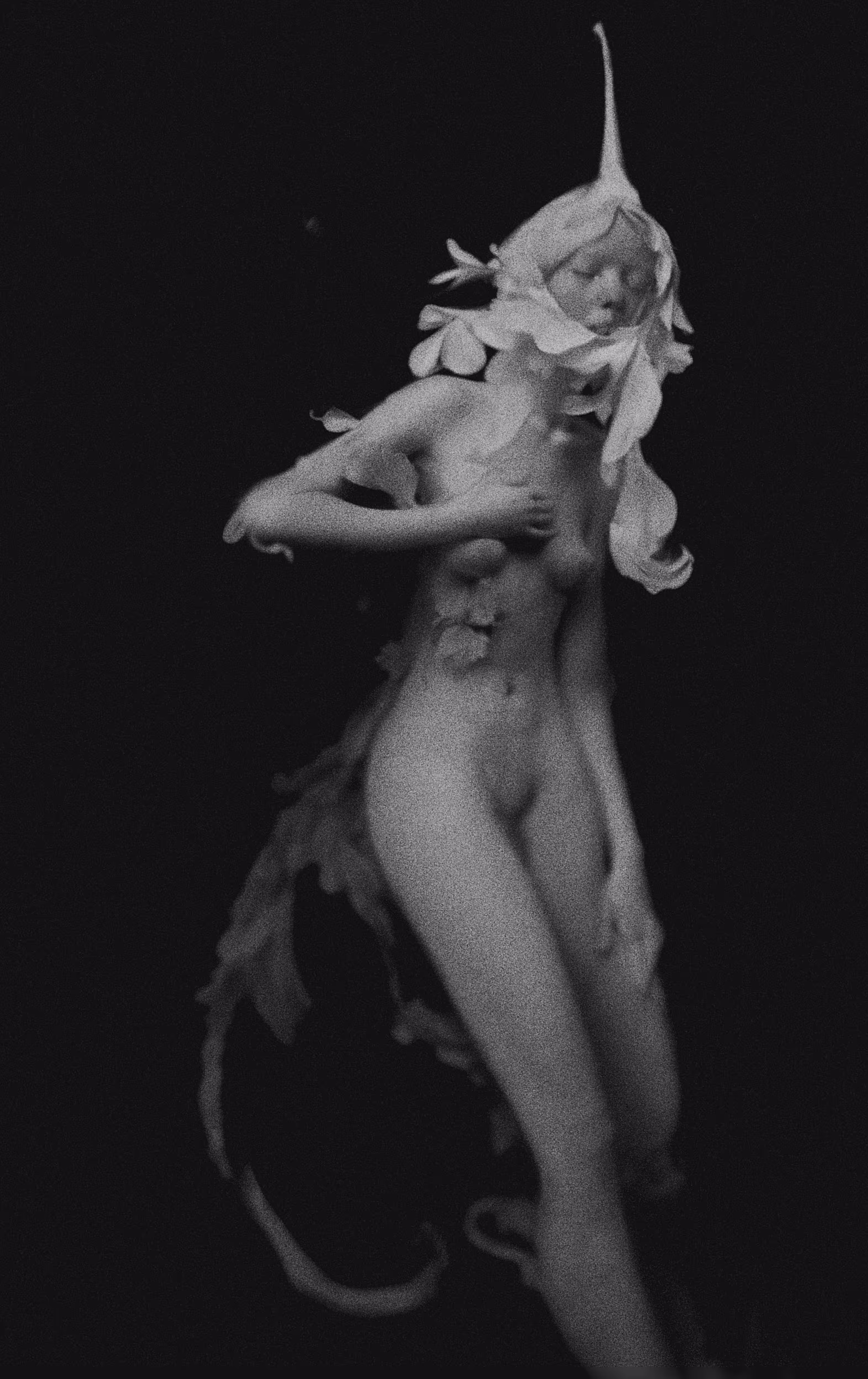 Child of the star