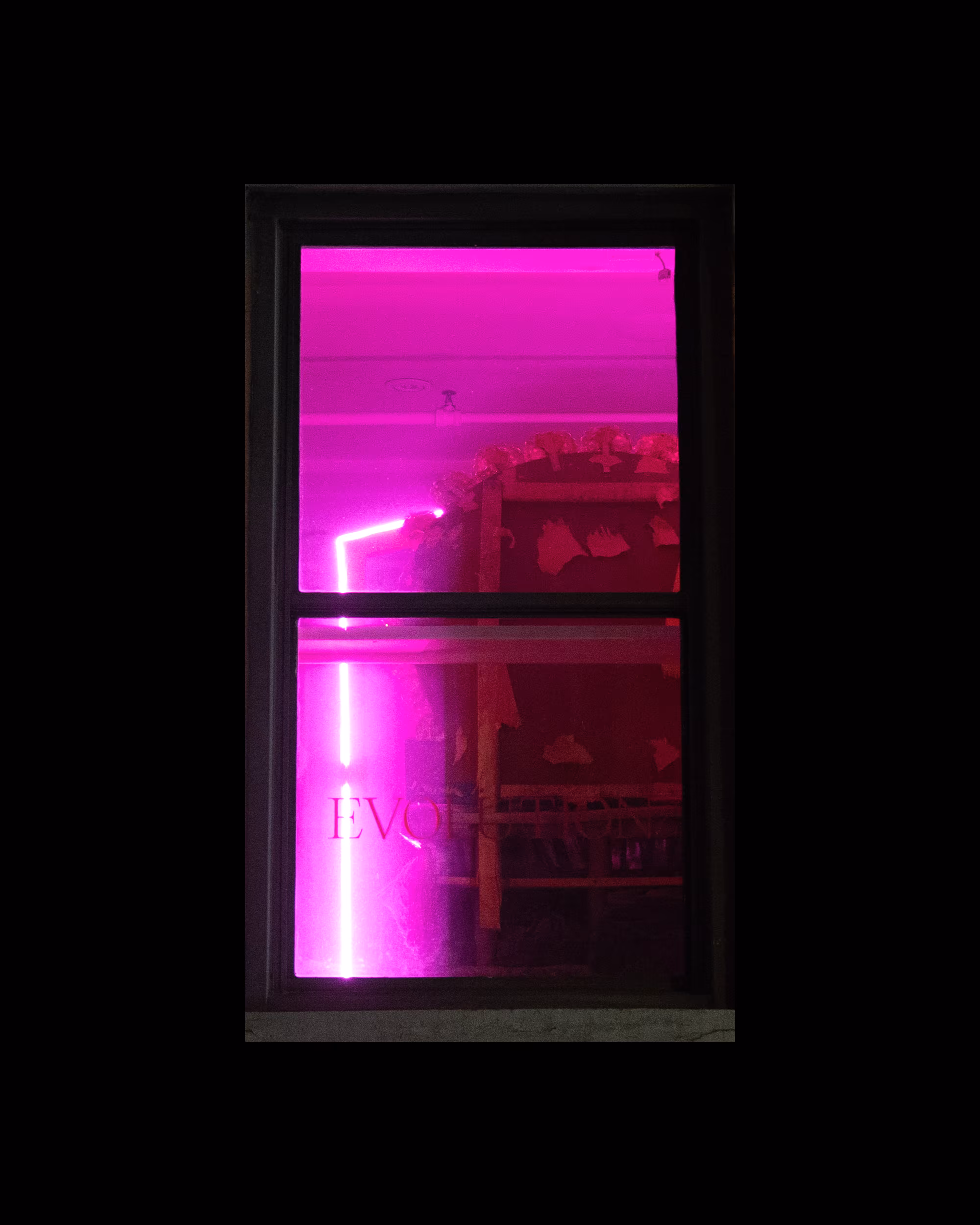 WINDOWS // NYC: WINDOW 592