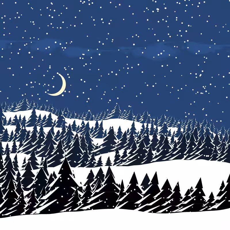 Winterland #92
