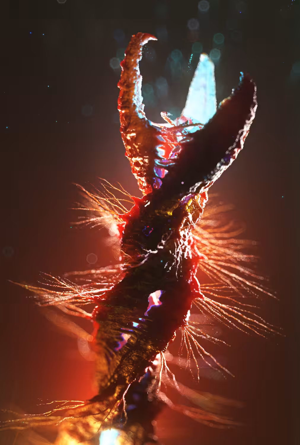 Bacteria Leptospira