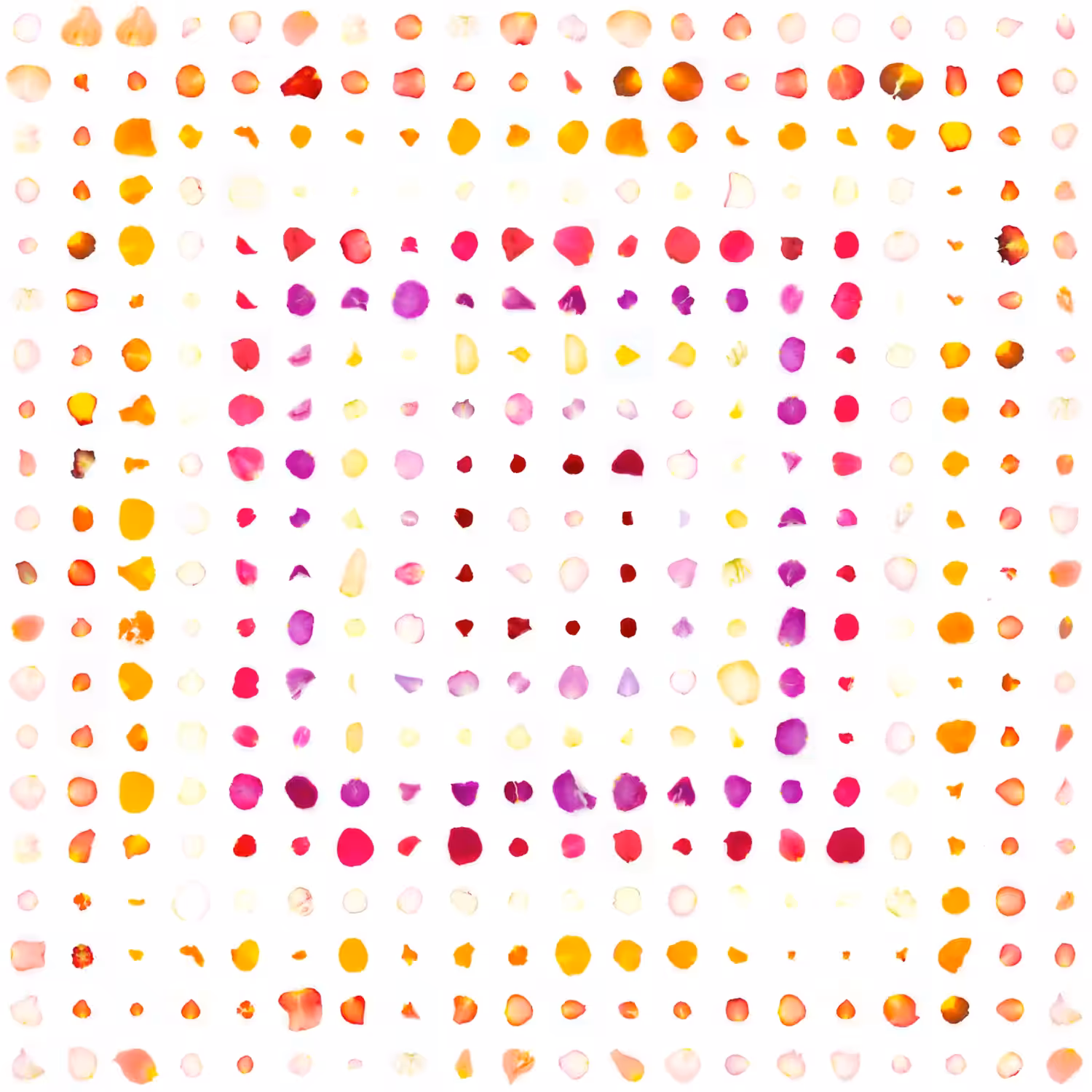 Infinite Petals 20x20#665