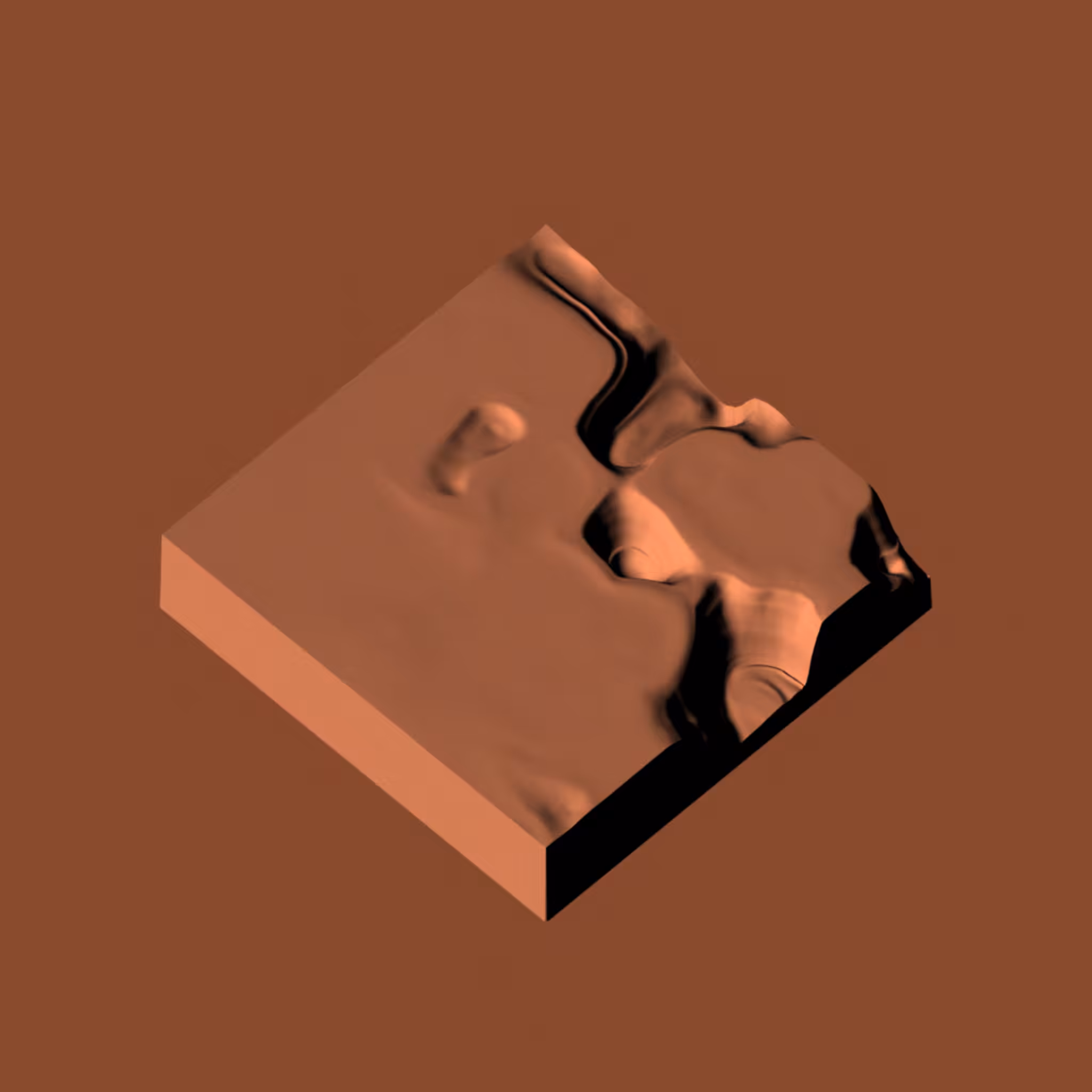terrestrial #12