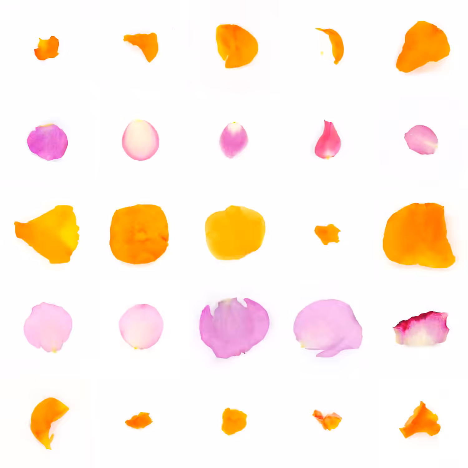 Infinite Petals 5x5#2529