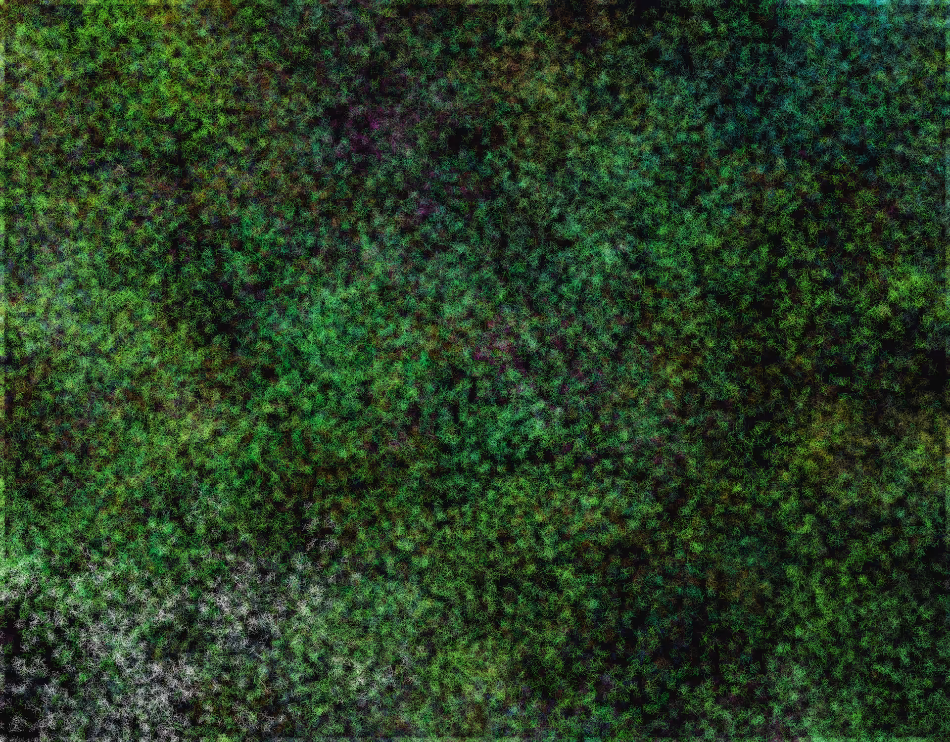 Amazon Moss