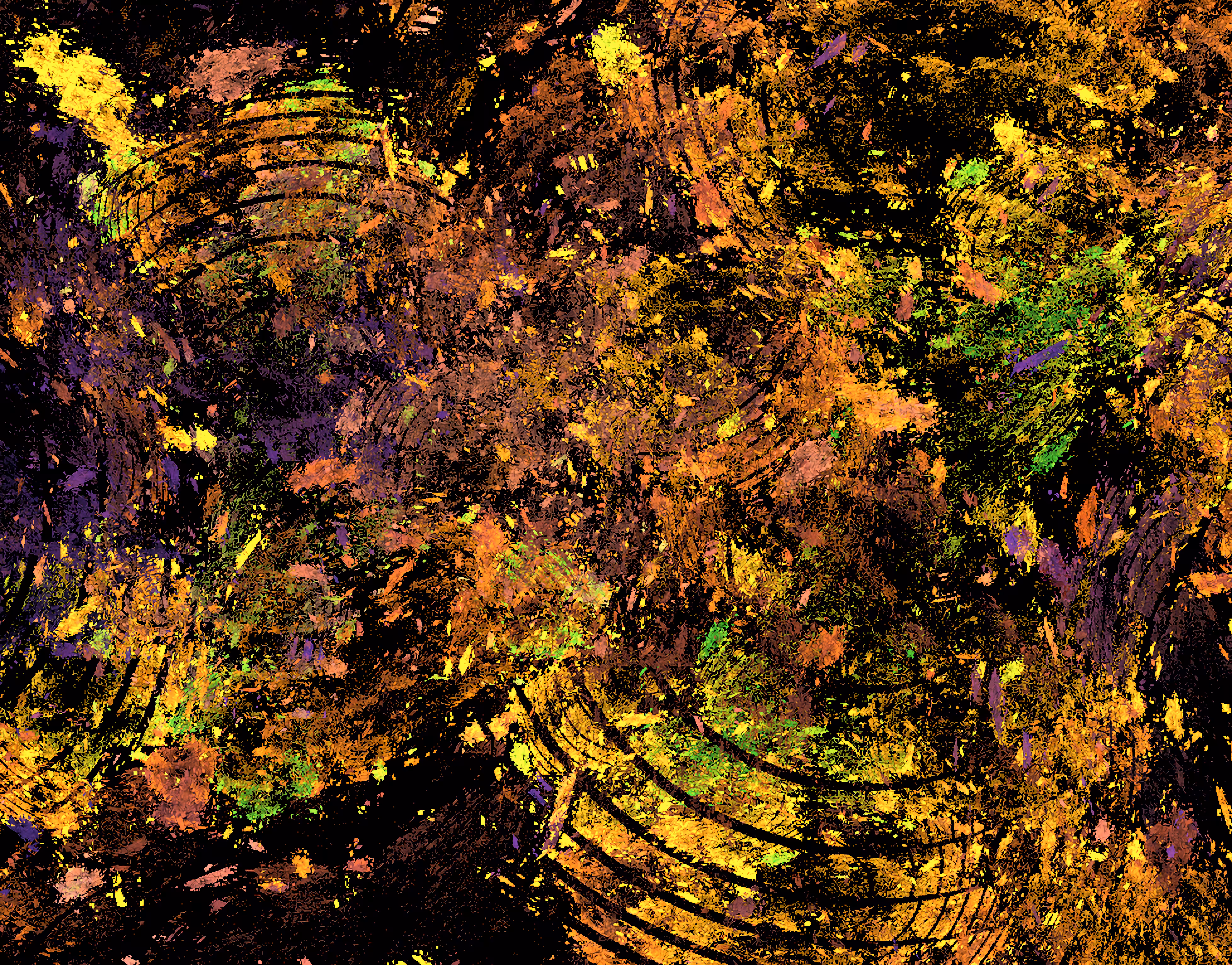 Raw Fractal Series - #144 - Black Honey