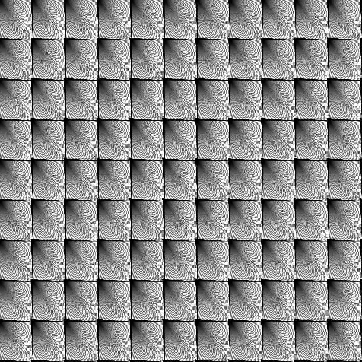 Noir et Blanc #189