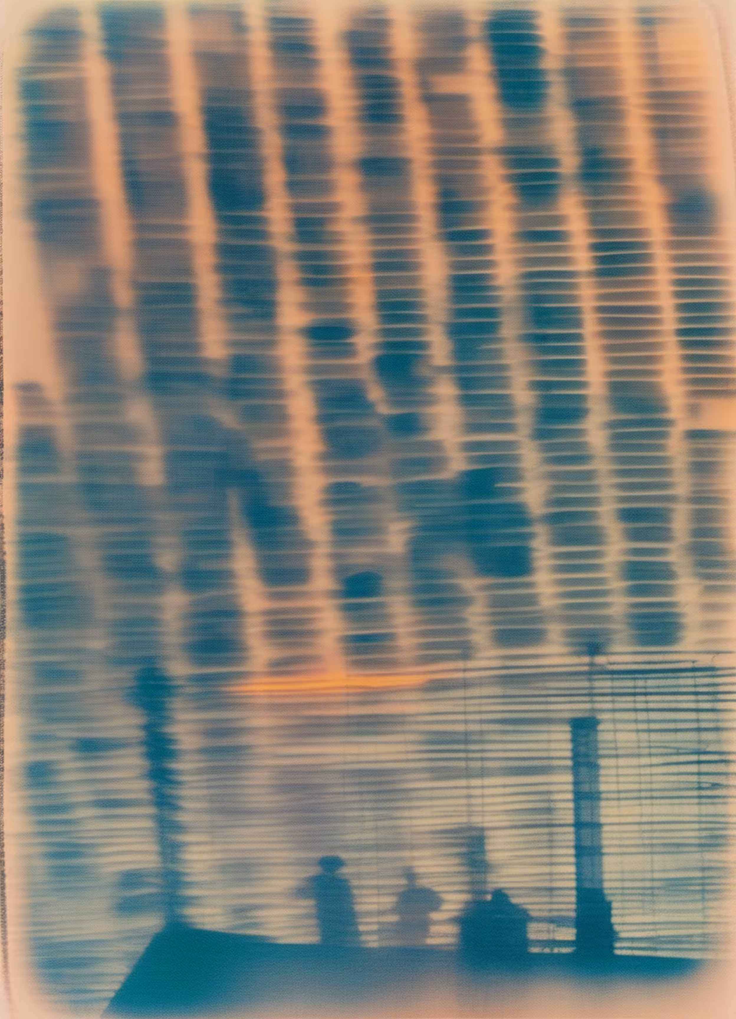 Summer Distortions #82