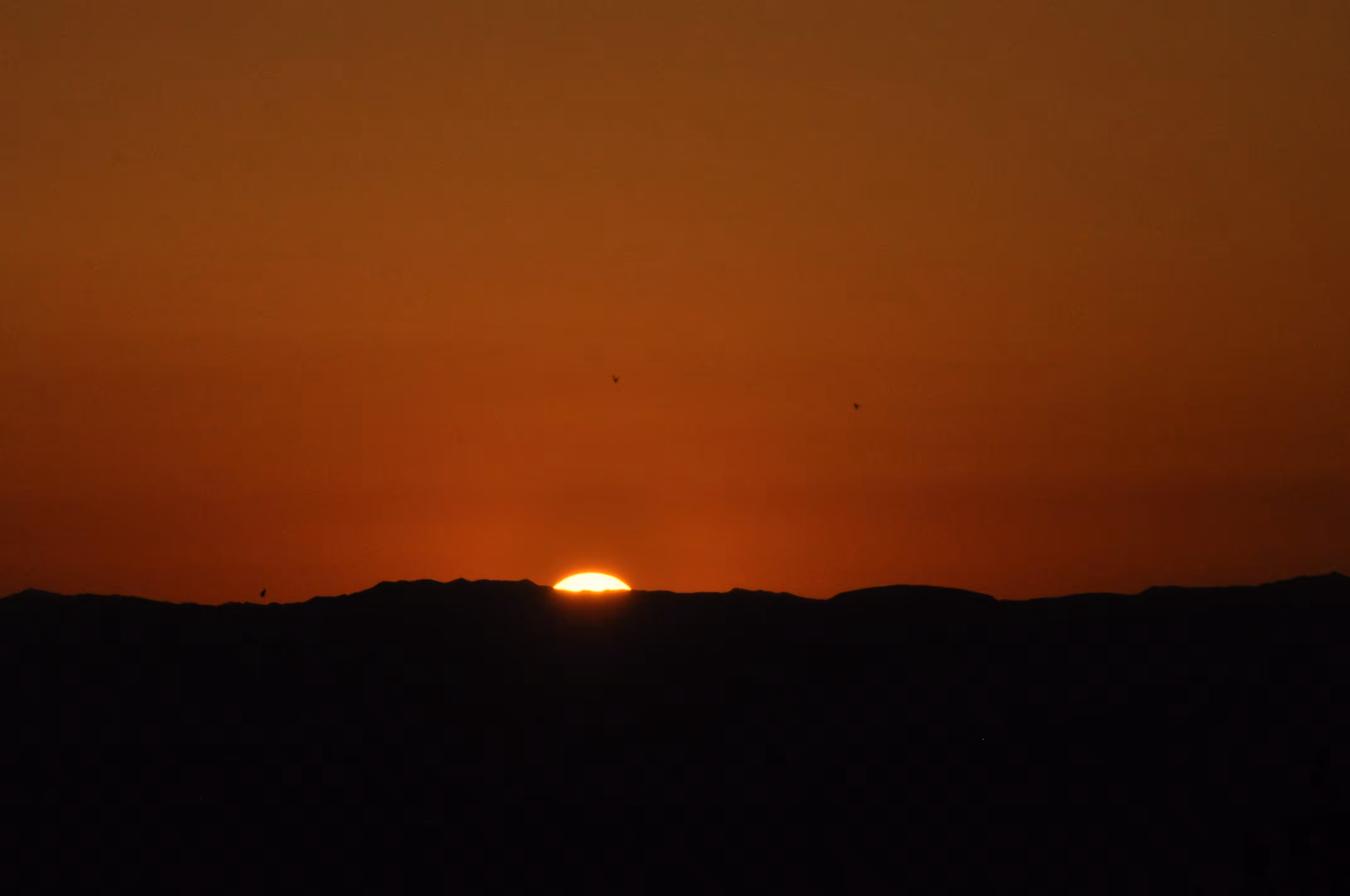 sunrise
