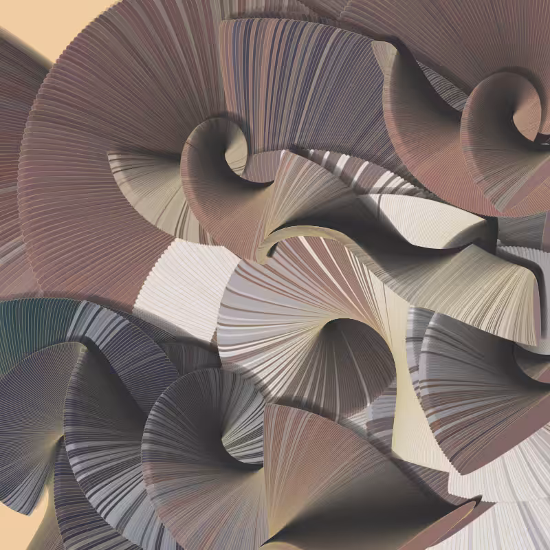 Seashells #13