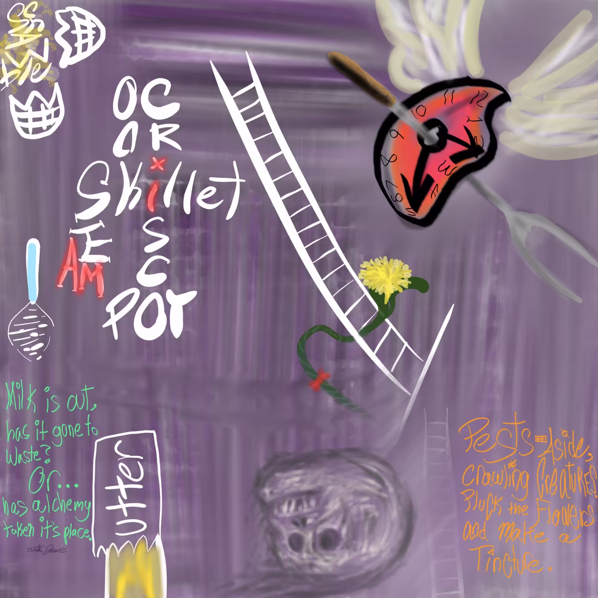 Basquiā Protégé