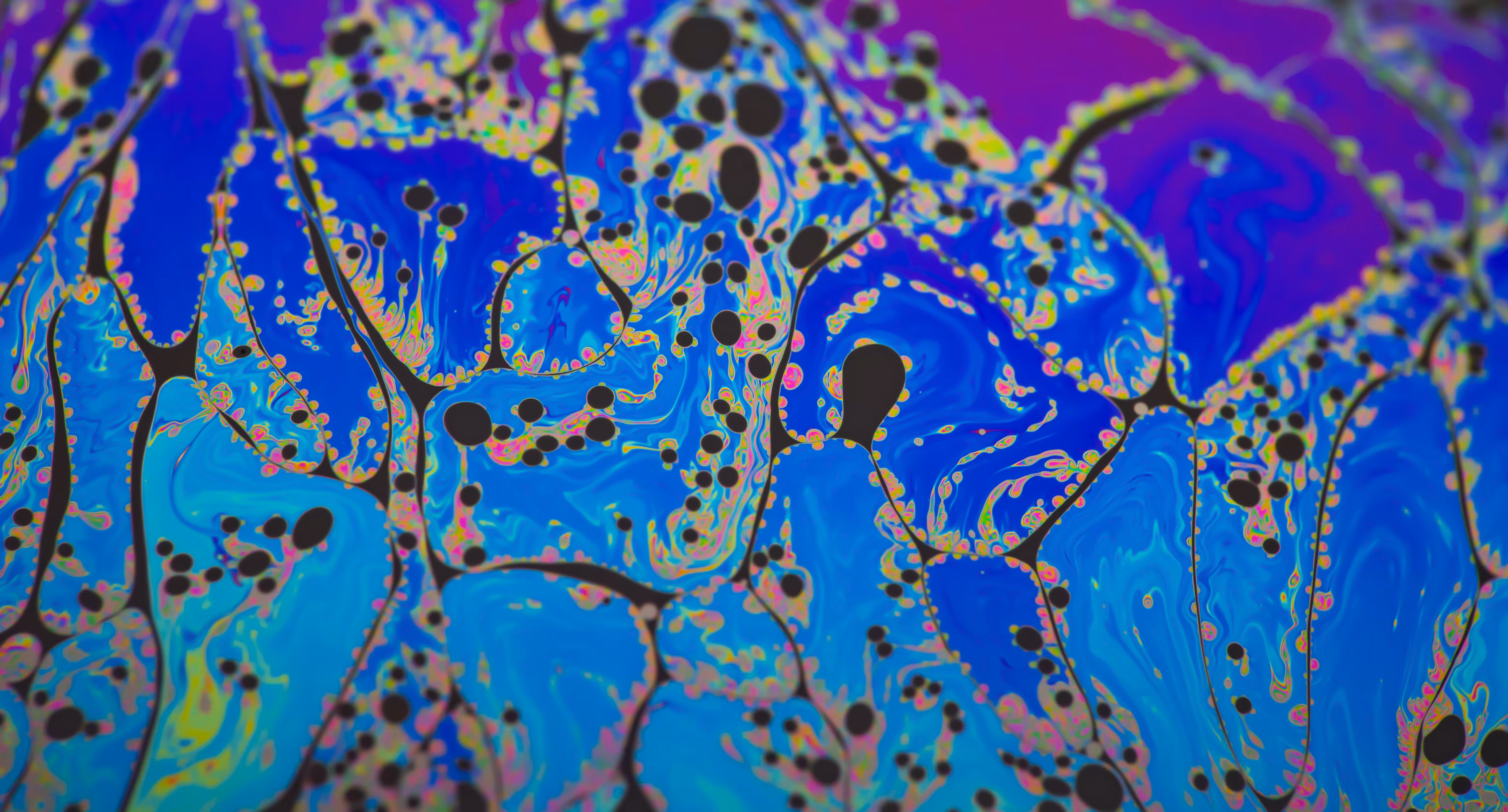 Funcional Matter