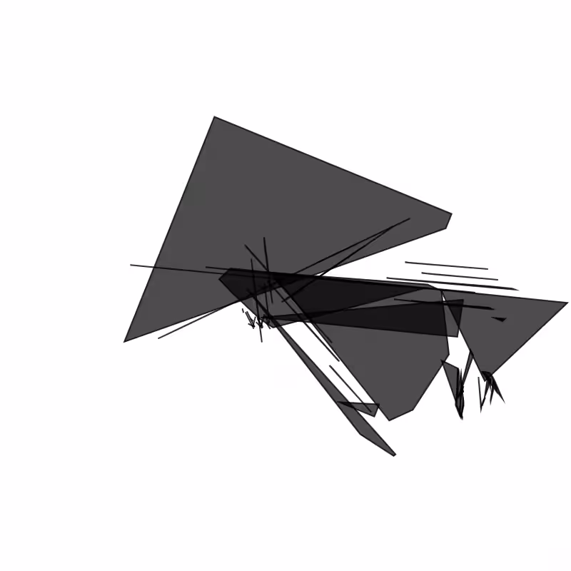 Fracture #230