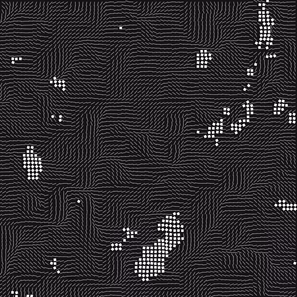 Geometric Fluidity #462