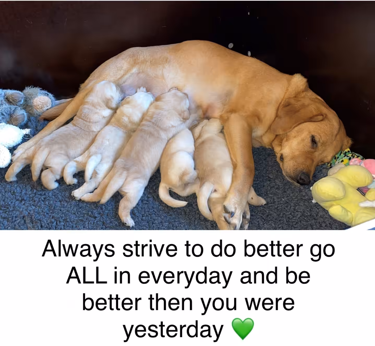 Life Lesson 18 