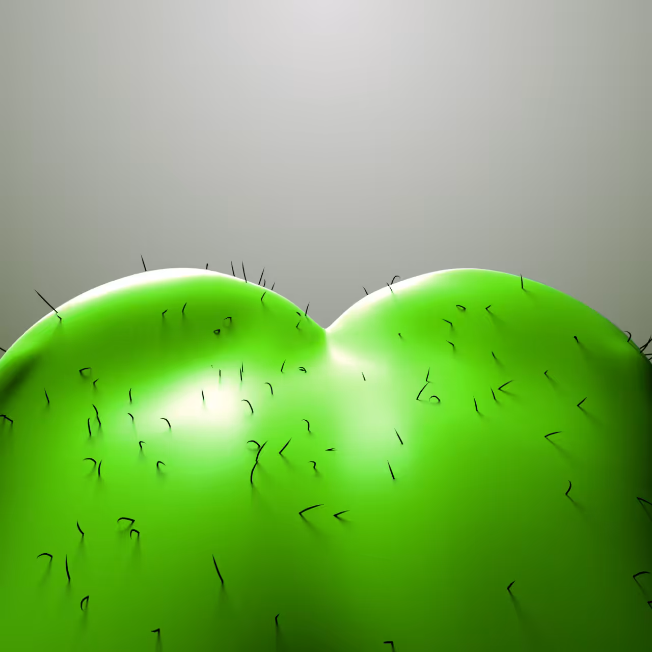 Pepe-Closer-Look-Up-or-Down