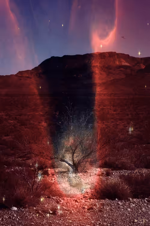 The Burning Bush