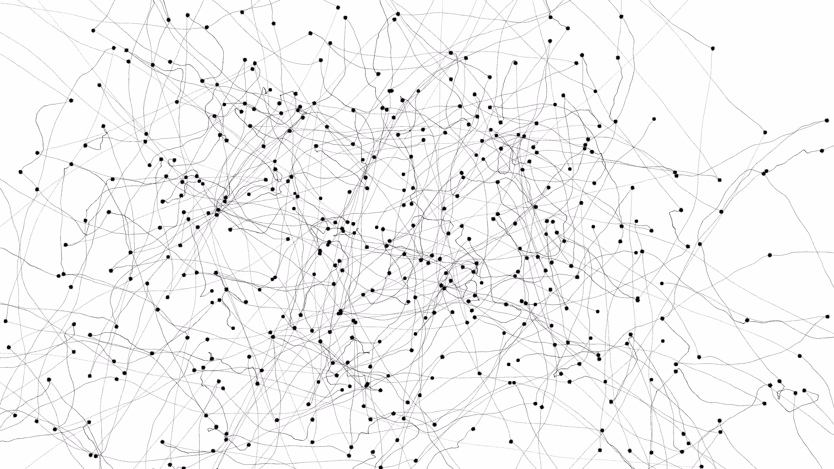 The Constellations
