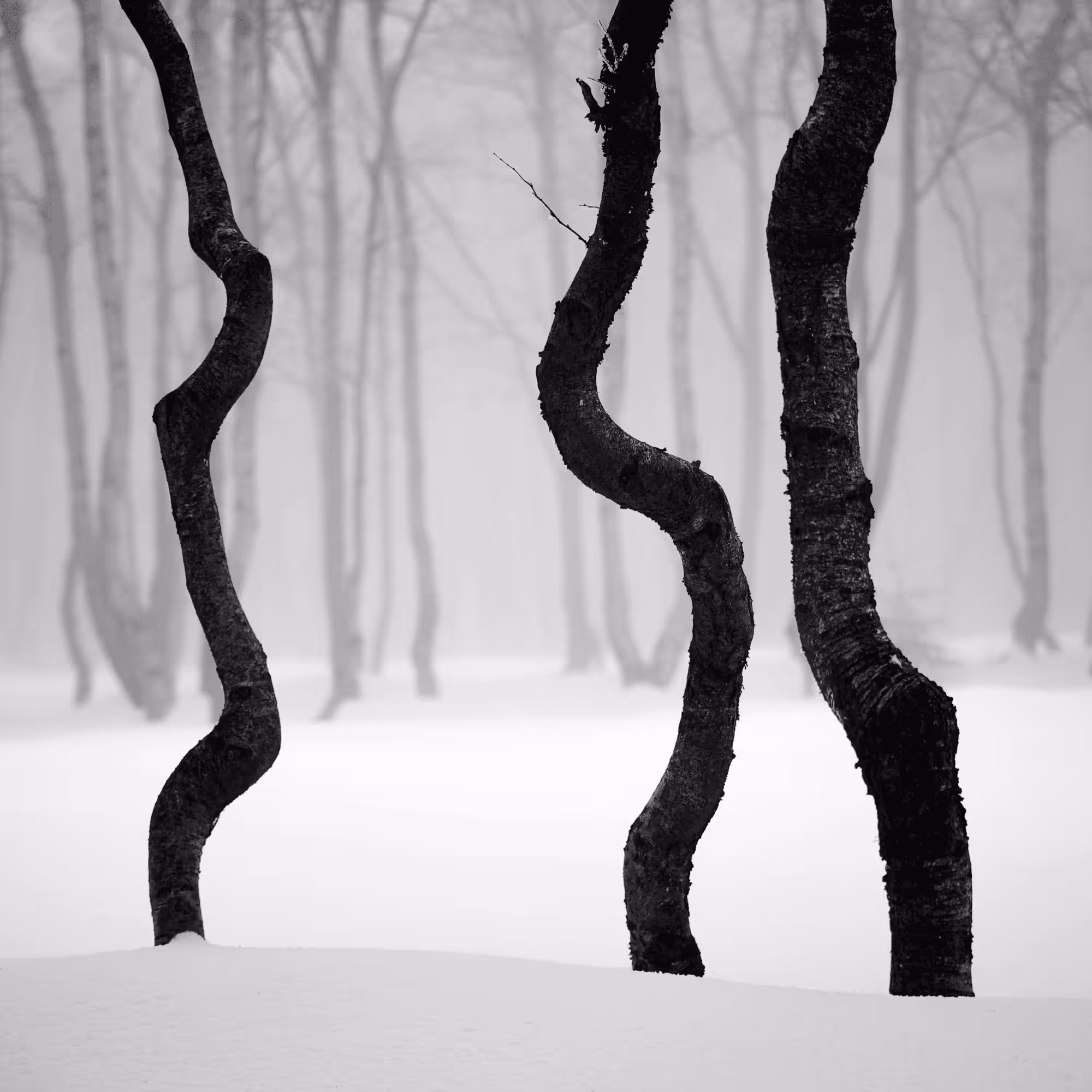 Sound of Silence #10