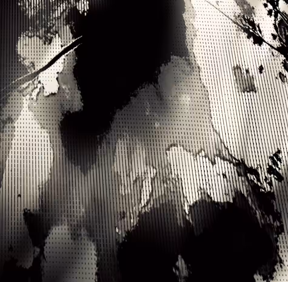NOCTURNE 4 - 'veil of sleep'