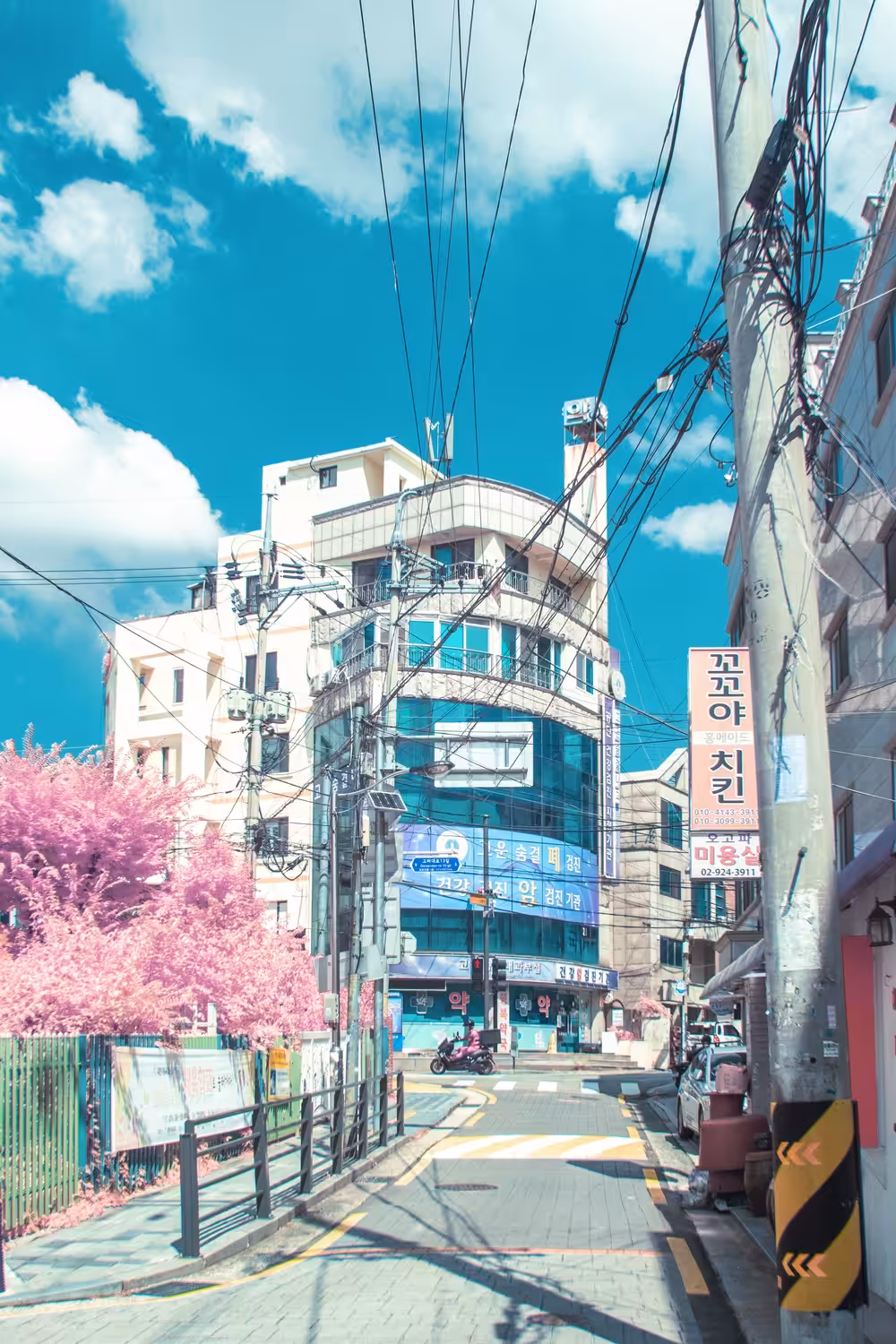 Anime World
