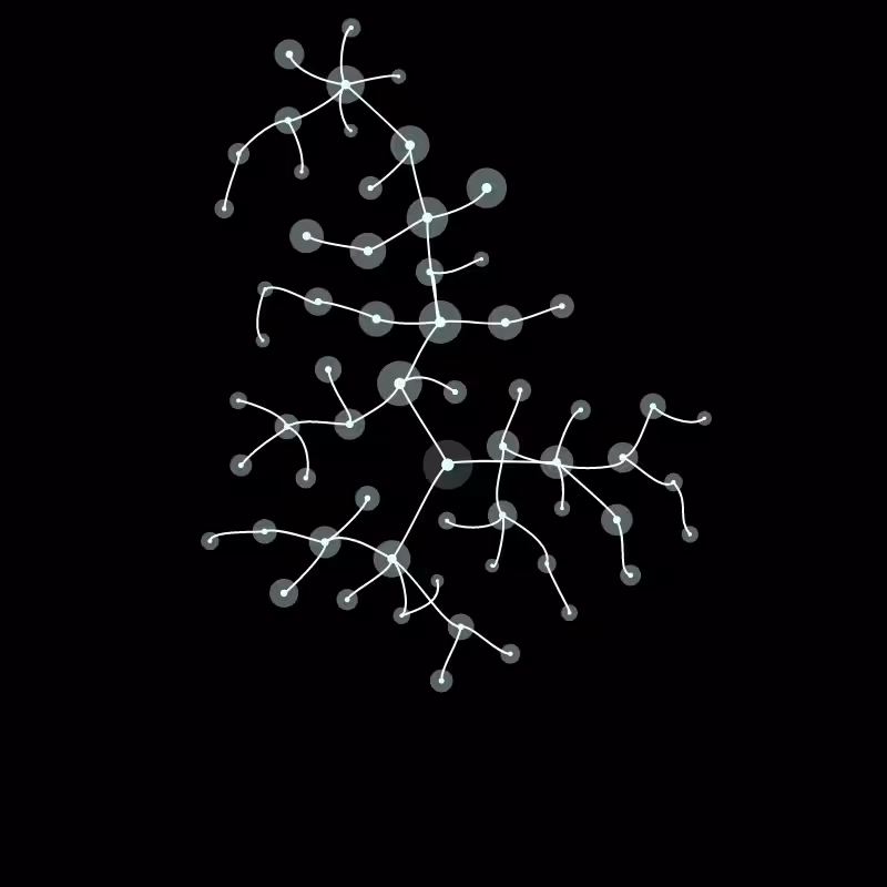 Algae #13